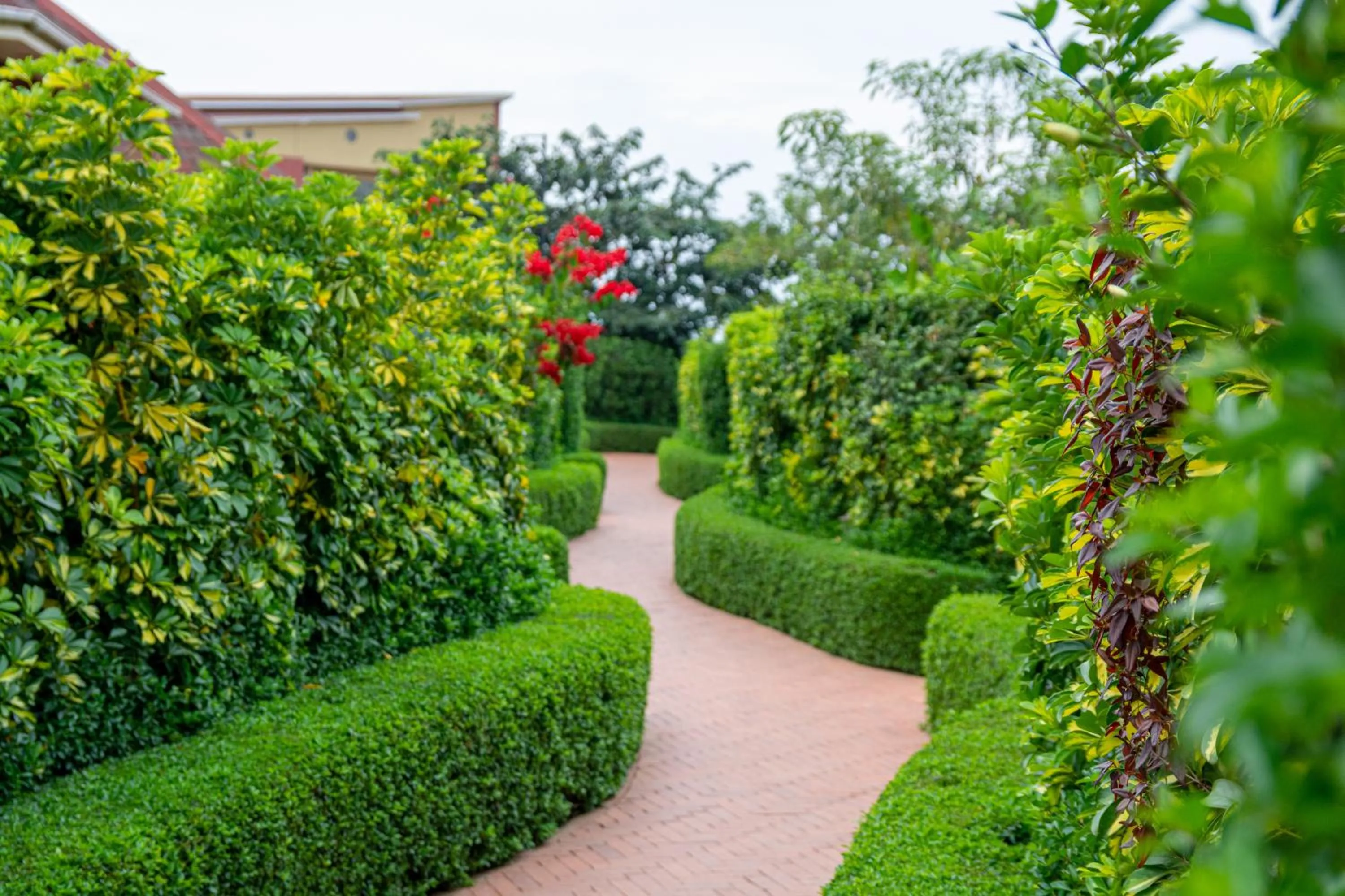 Day in Las Vegas Garden Hotel Mbarara