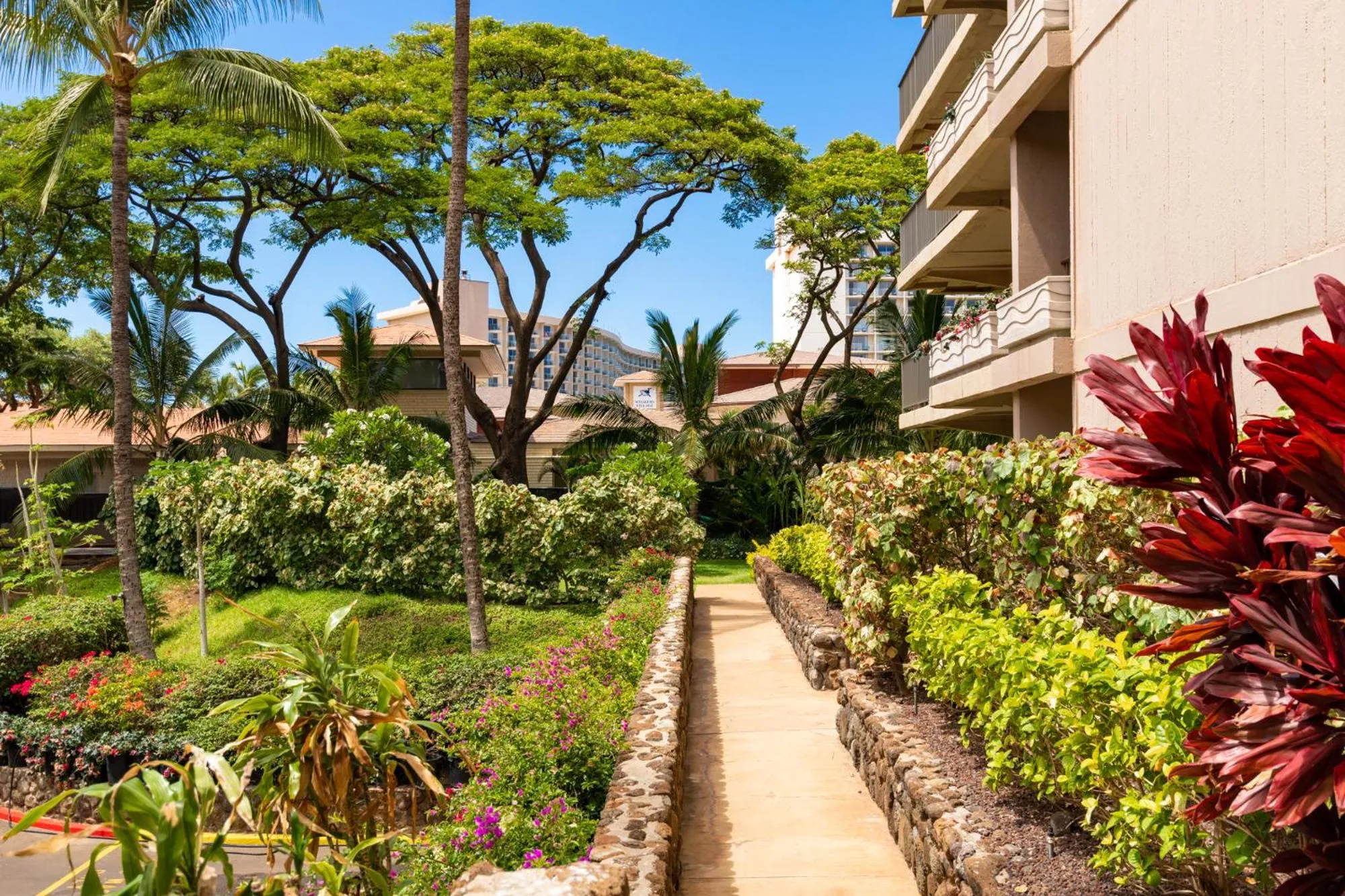Garden in The Whaler Resort