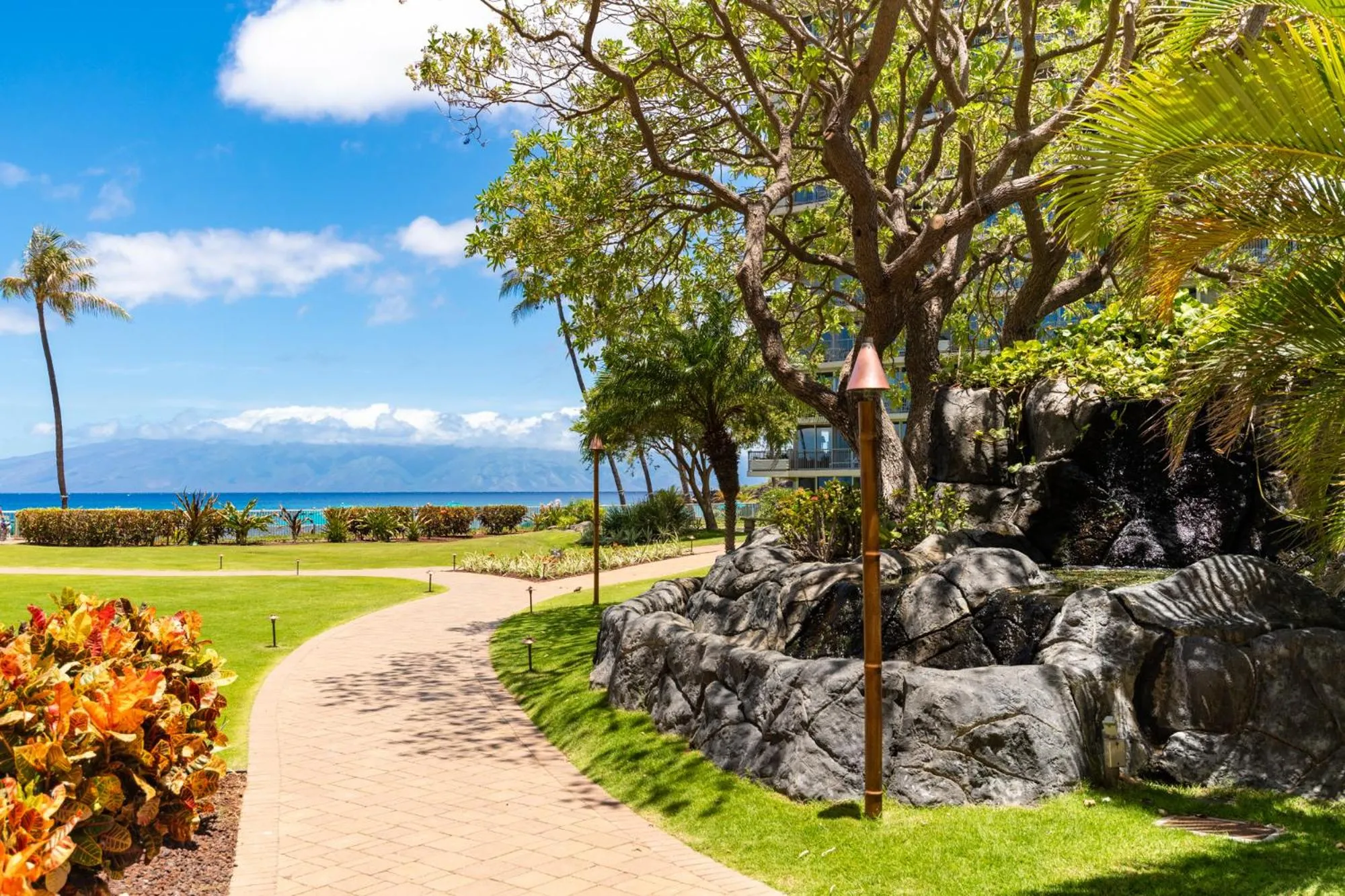 Garden in The Whaler Resort