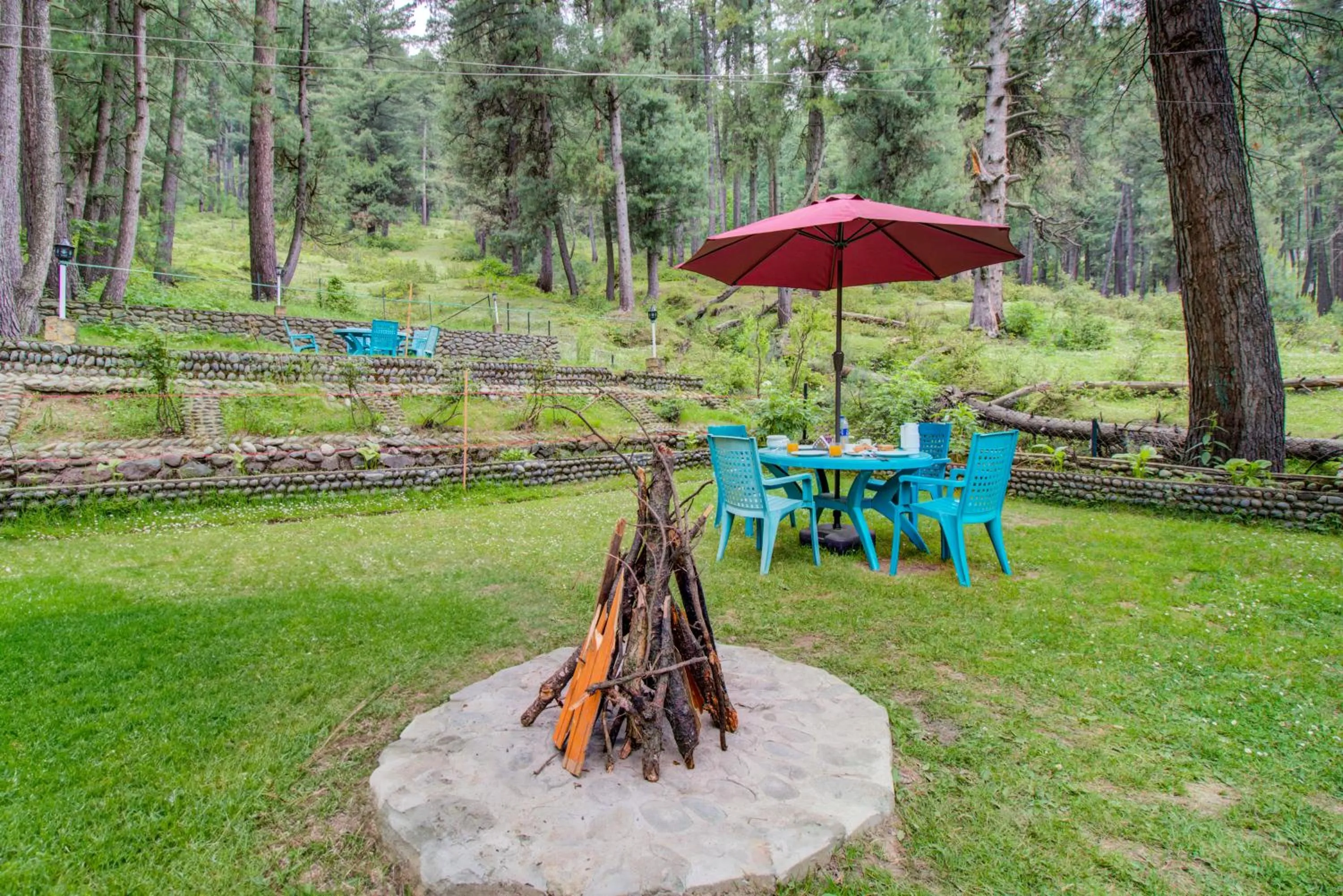 Garden in Hotel Little Silver