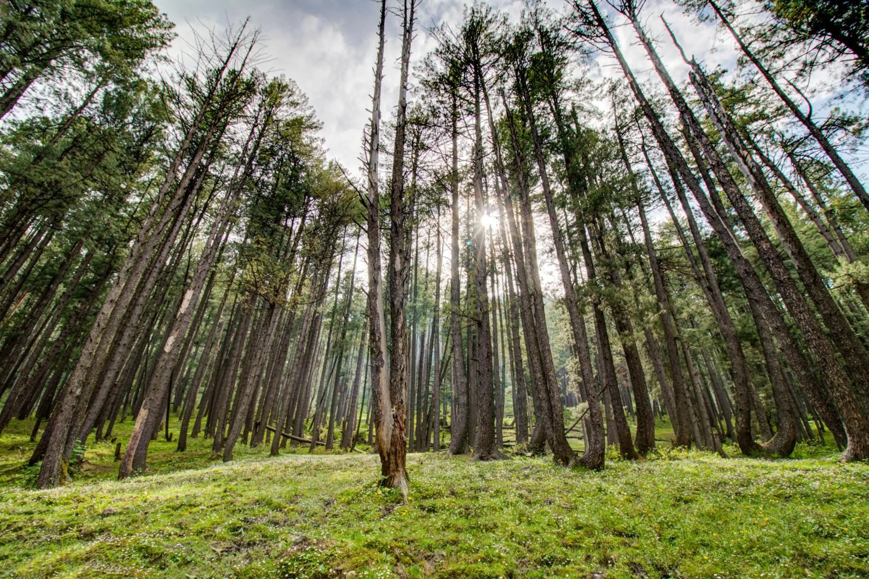 View (from property/room) in Hotel Little Silver