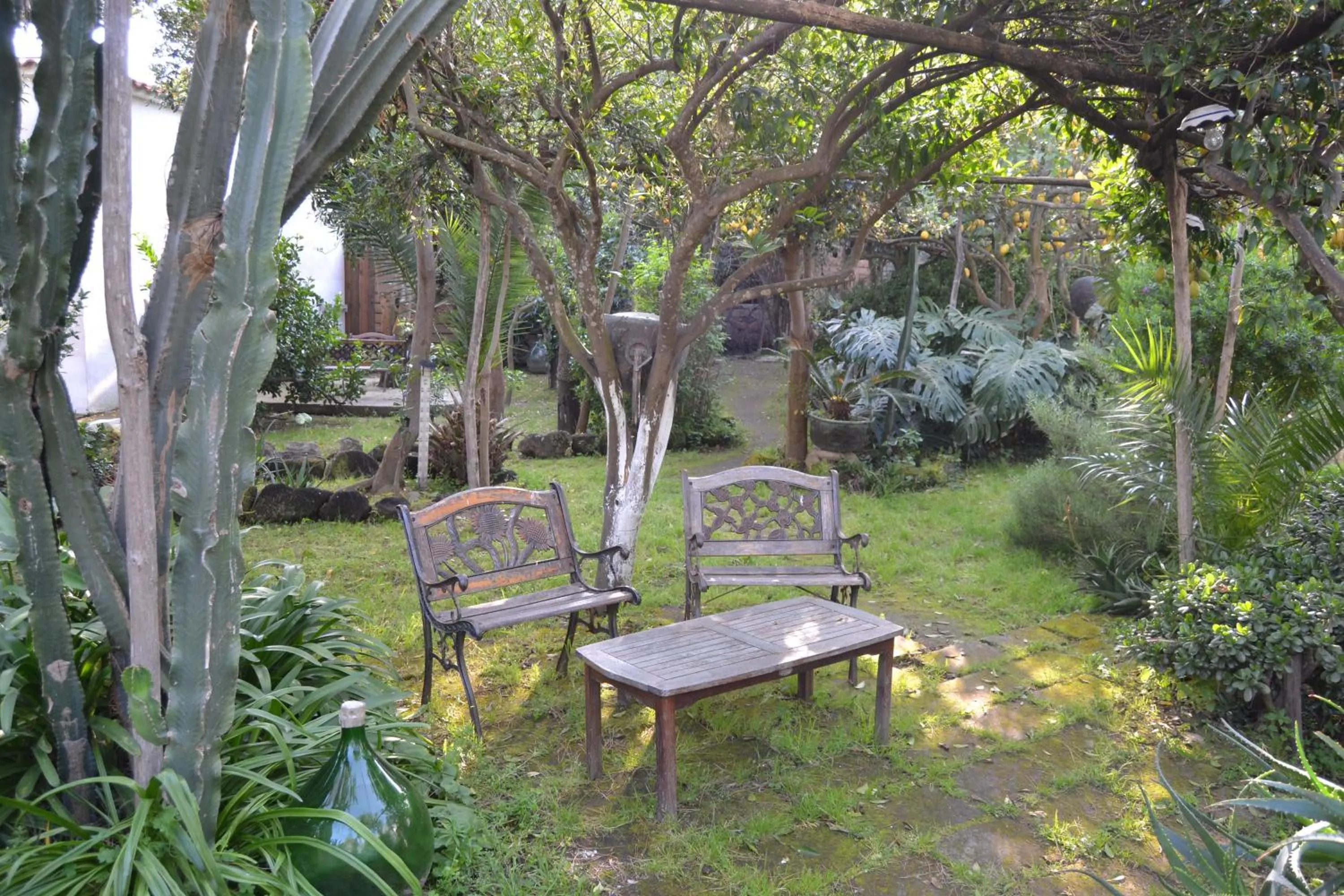 Garden in Piccolo Tirreno Hotel Residence