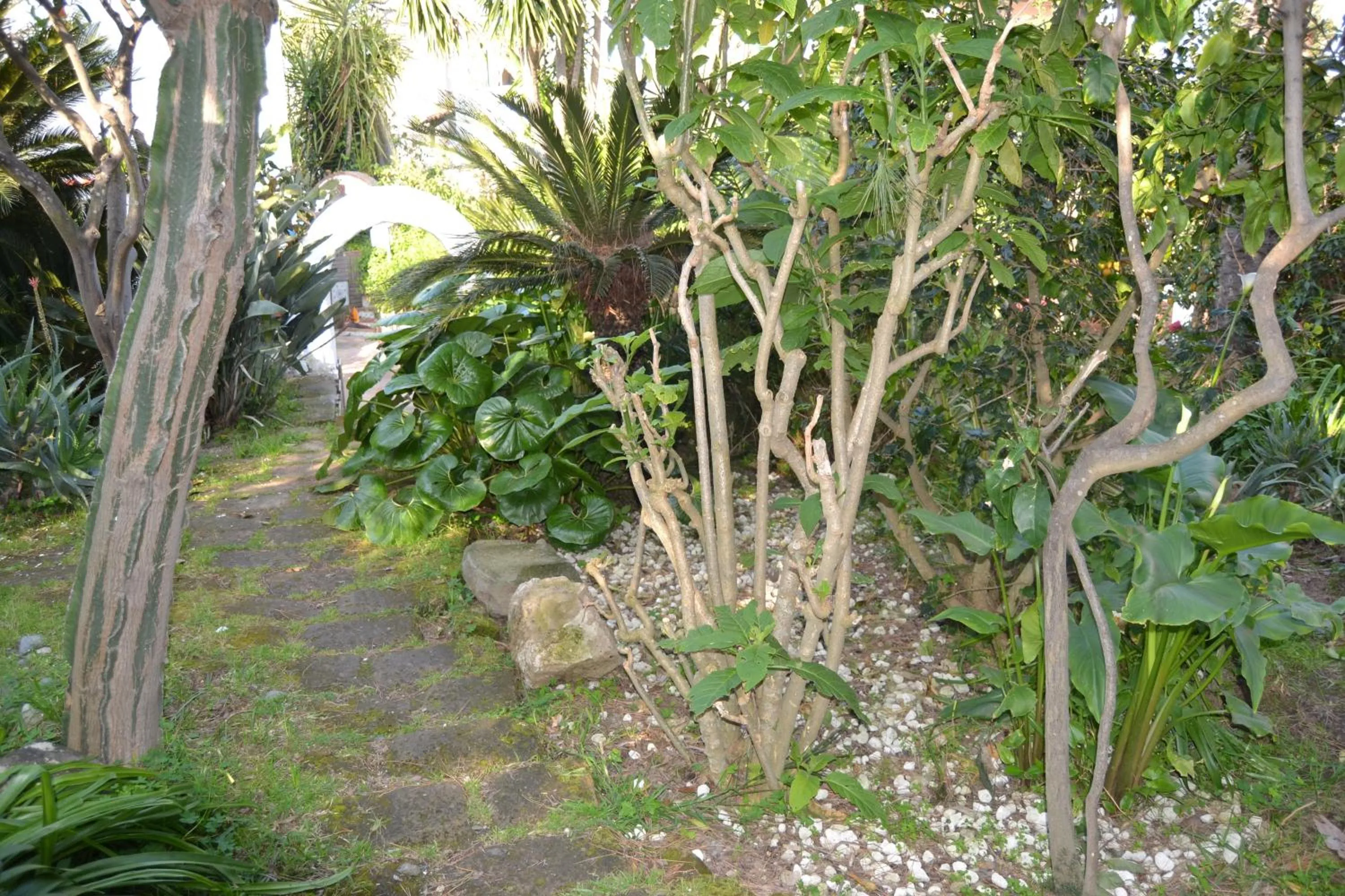 Garden in Piccolo Tirreno Hotel Residence