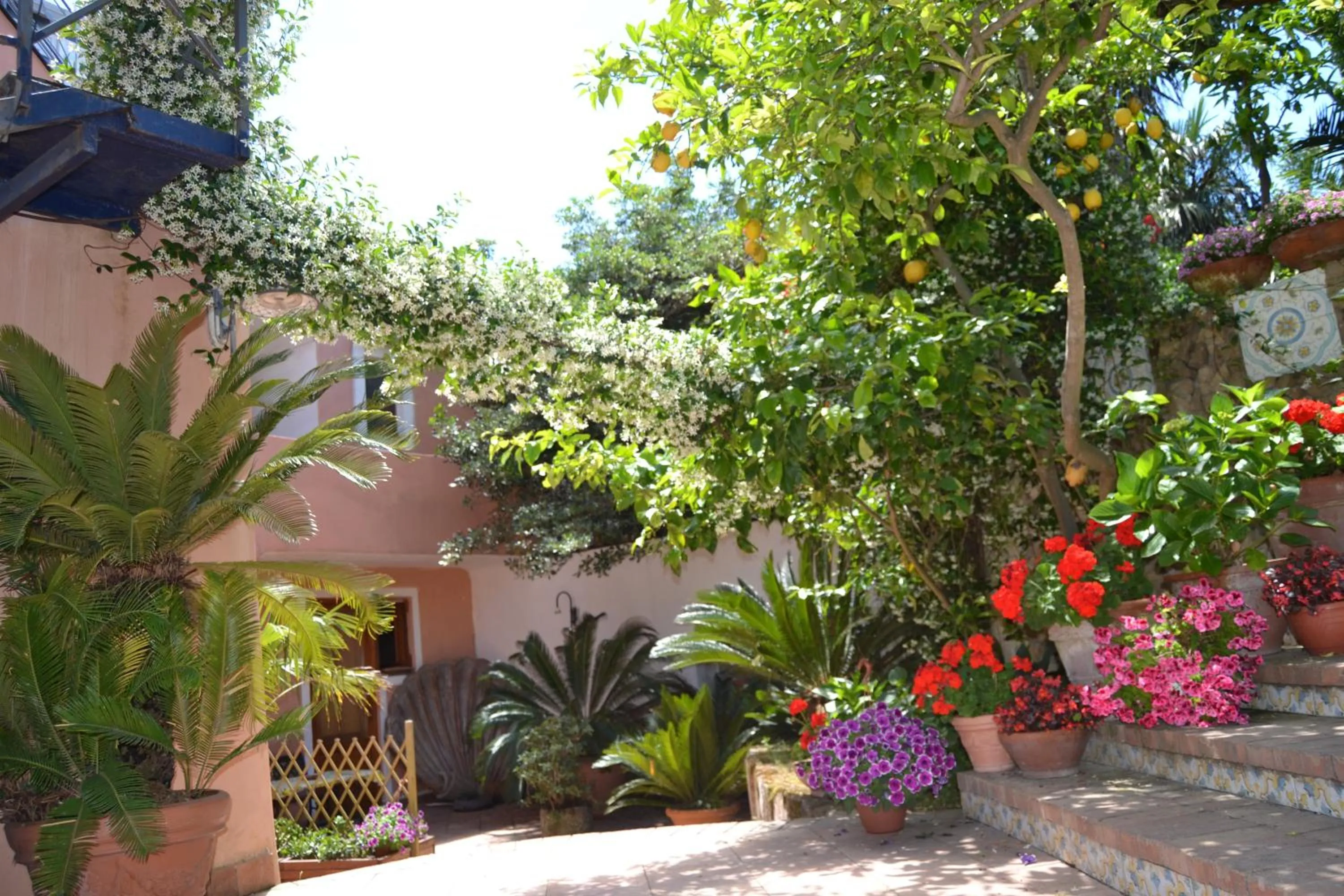 Garden in Piccolo Tirreno Hotel Residence