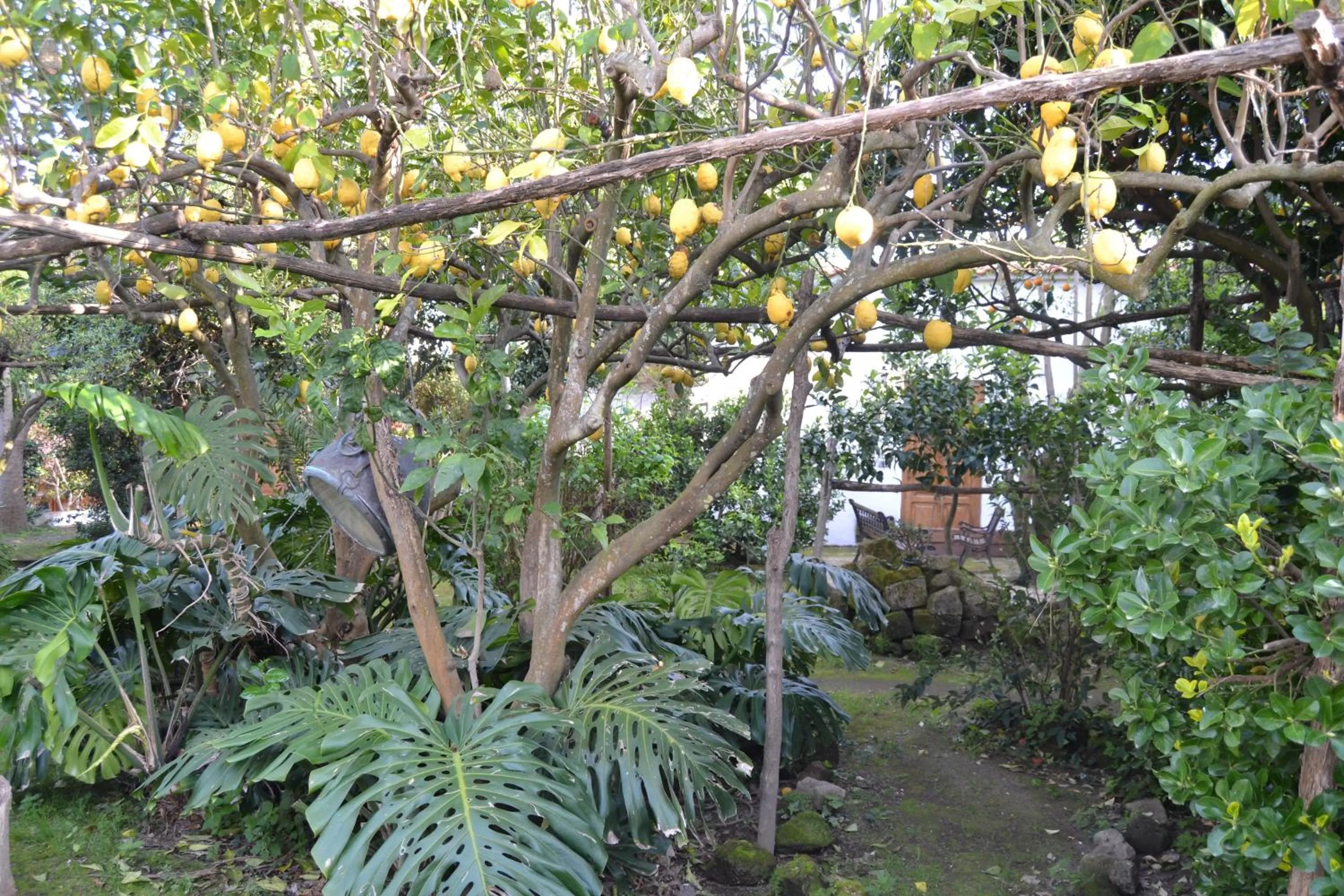 Garden in Piccolo Tirreno Hotel Residence
