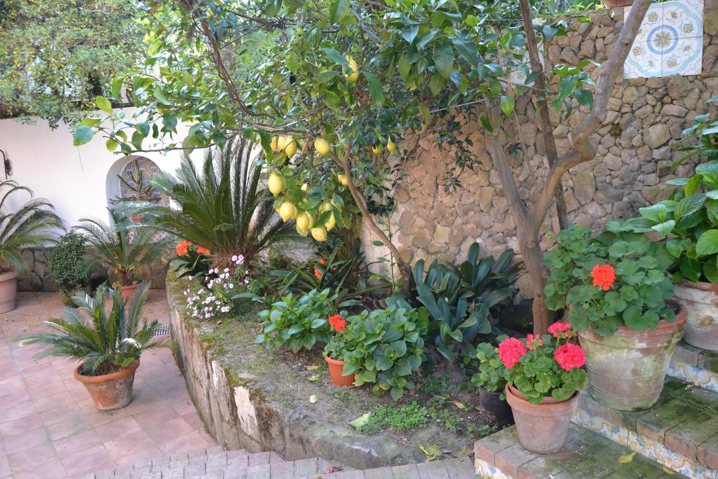 Garden in Piccolo Tirreno Hotel Residence