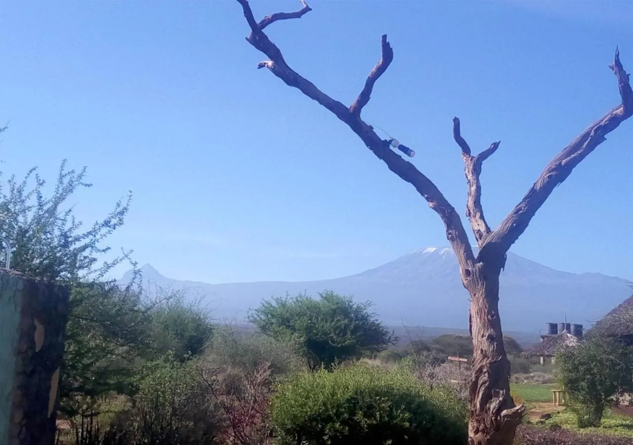 Natural landscape in AA Lodge Amboseli