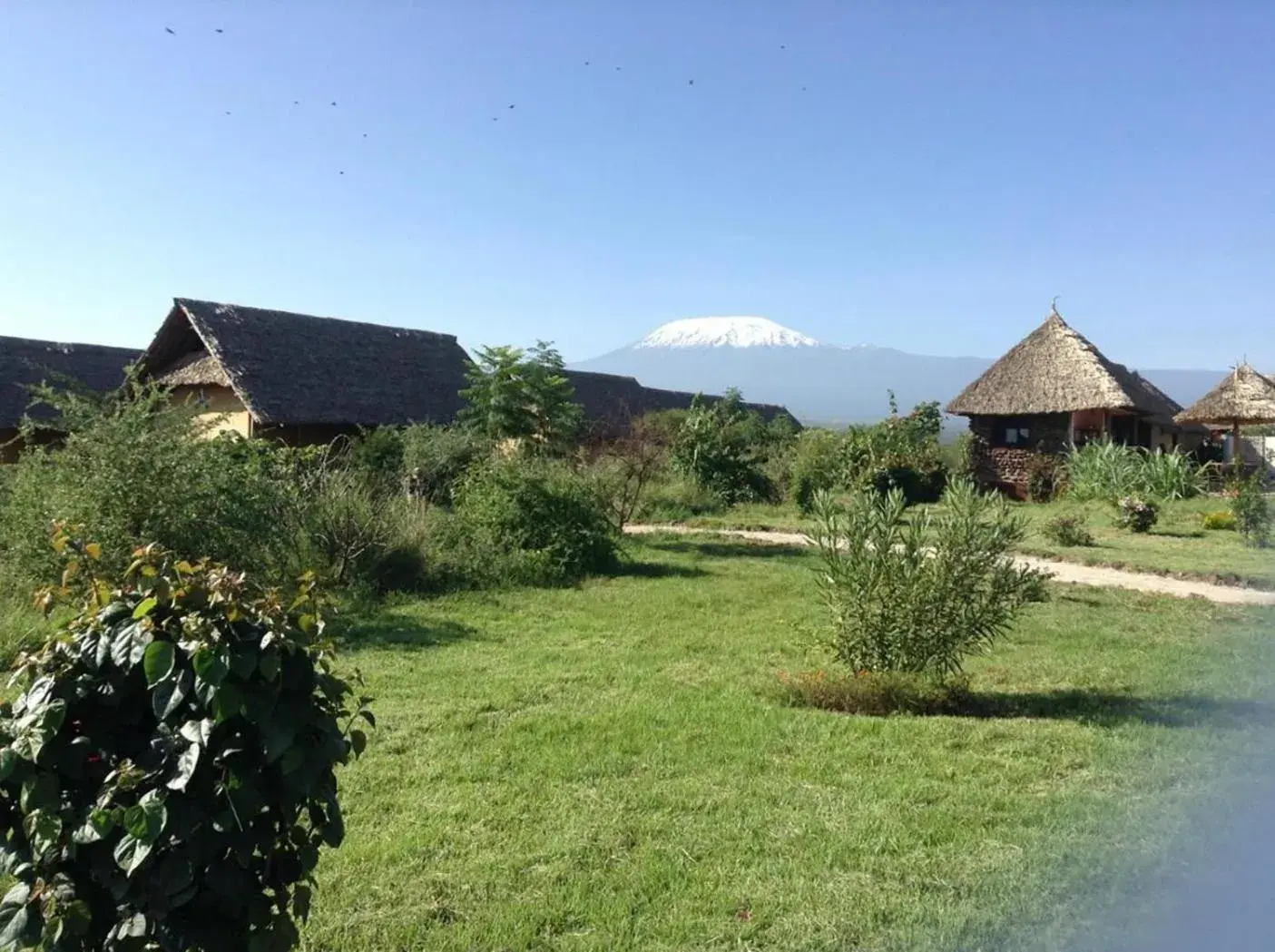 Cottage in AA Lodge Amboseli Cottage in AA Lodge Amboseli
