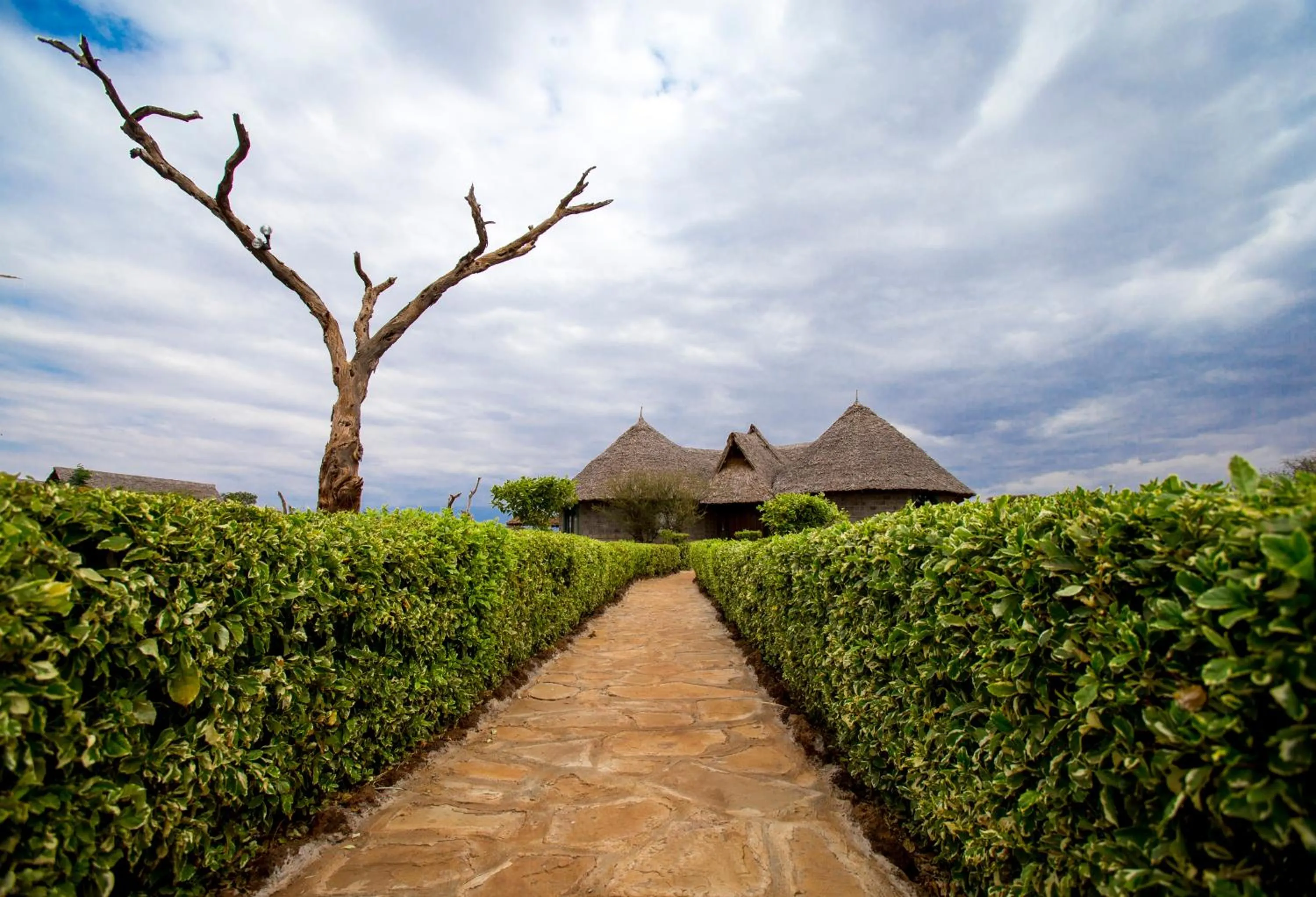 Balcony/Terrace in AA Lodge Amboseli