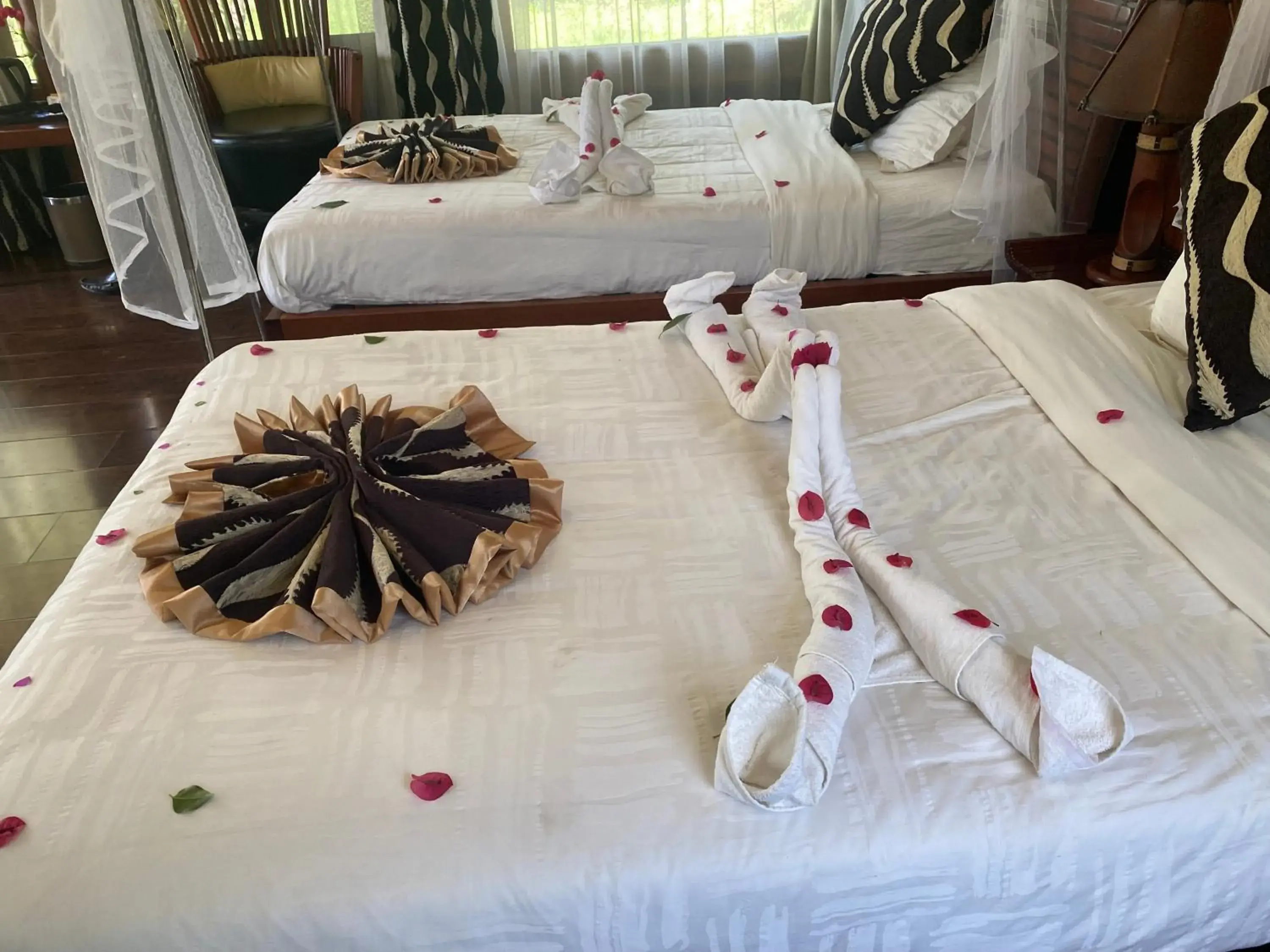 Family Room - single occupancy in AA Lodge Maasai Mara Family Room - single occupancy in AA Lodge Maasai Mara