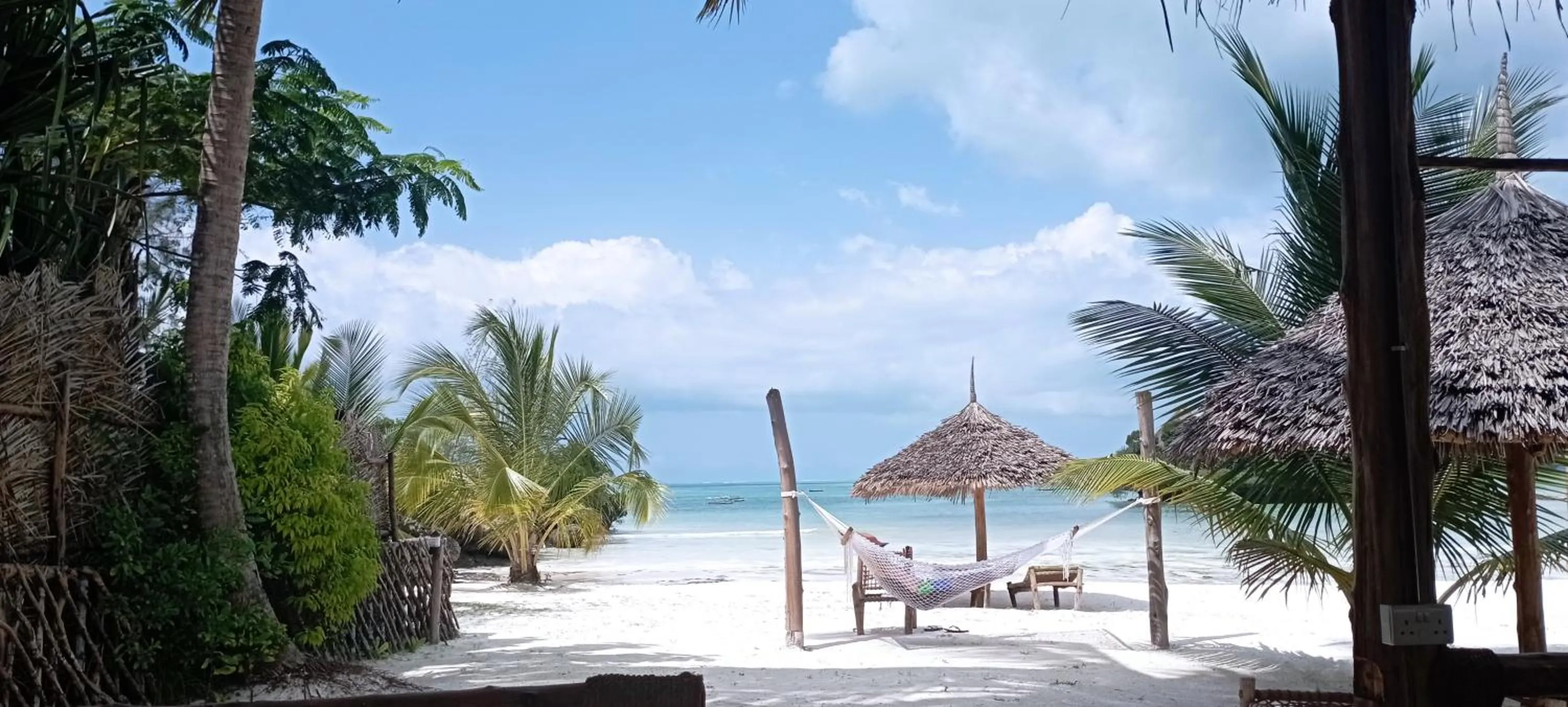 Beach in Coral Bay Zanzibar