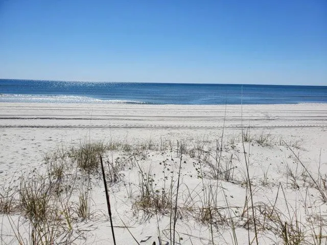 Beach in 117 Palm Beach Dr - Palm Breezy