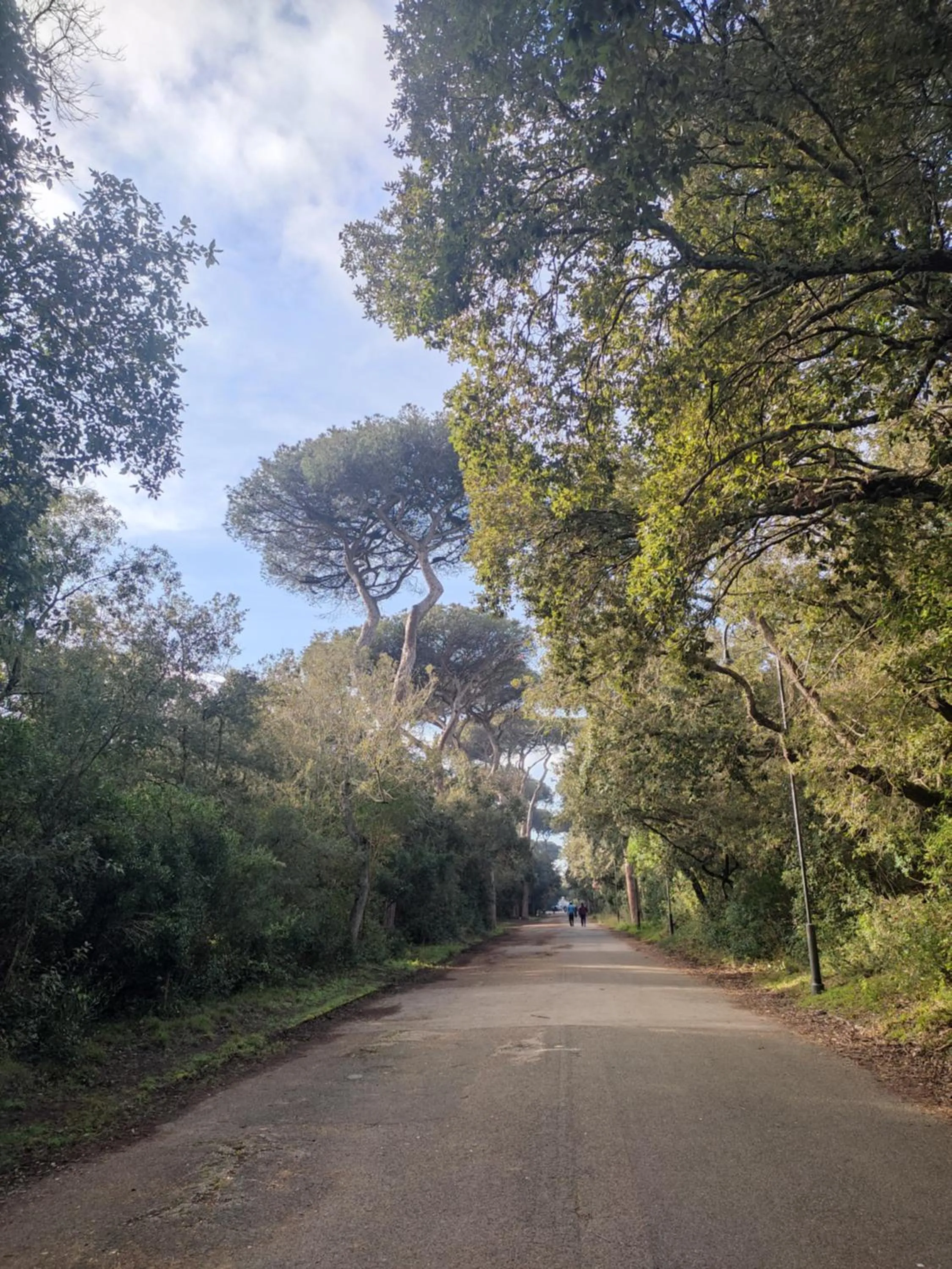 Natural landscape in Appartamento Lungomare Toscanelli