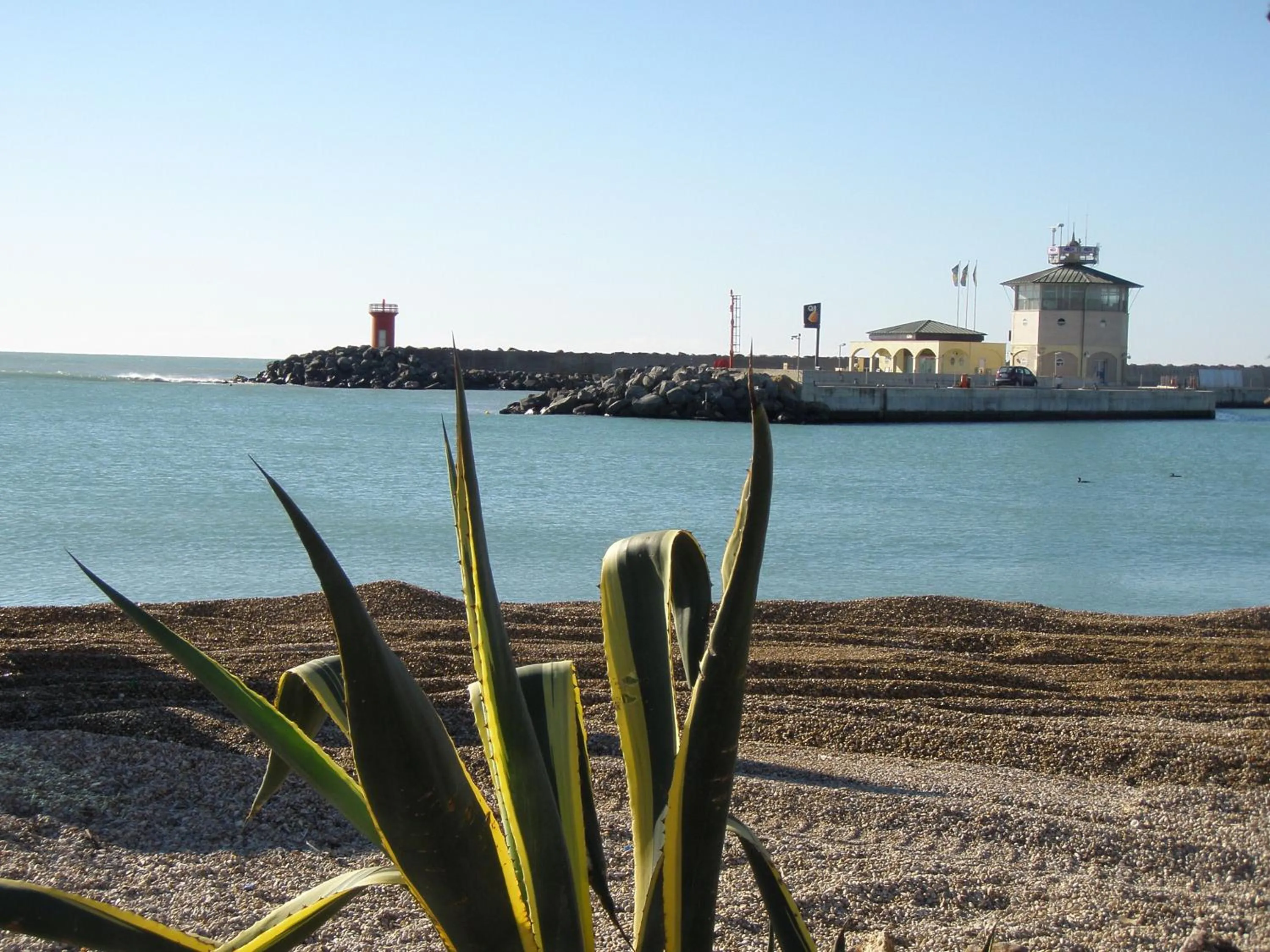 Beach in Appartamento Lungomare Toscanelli