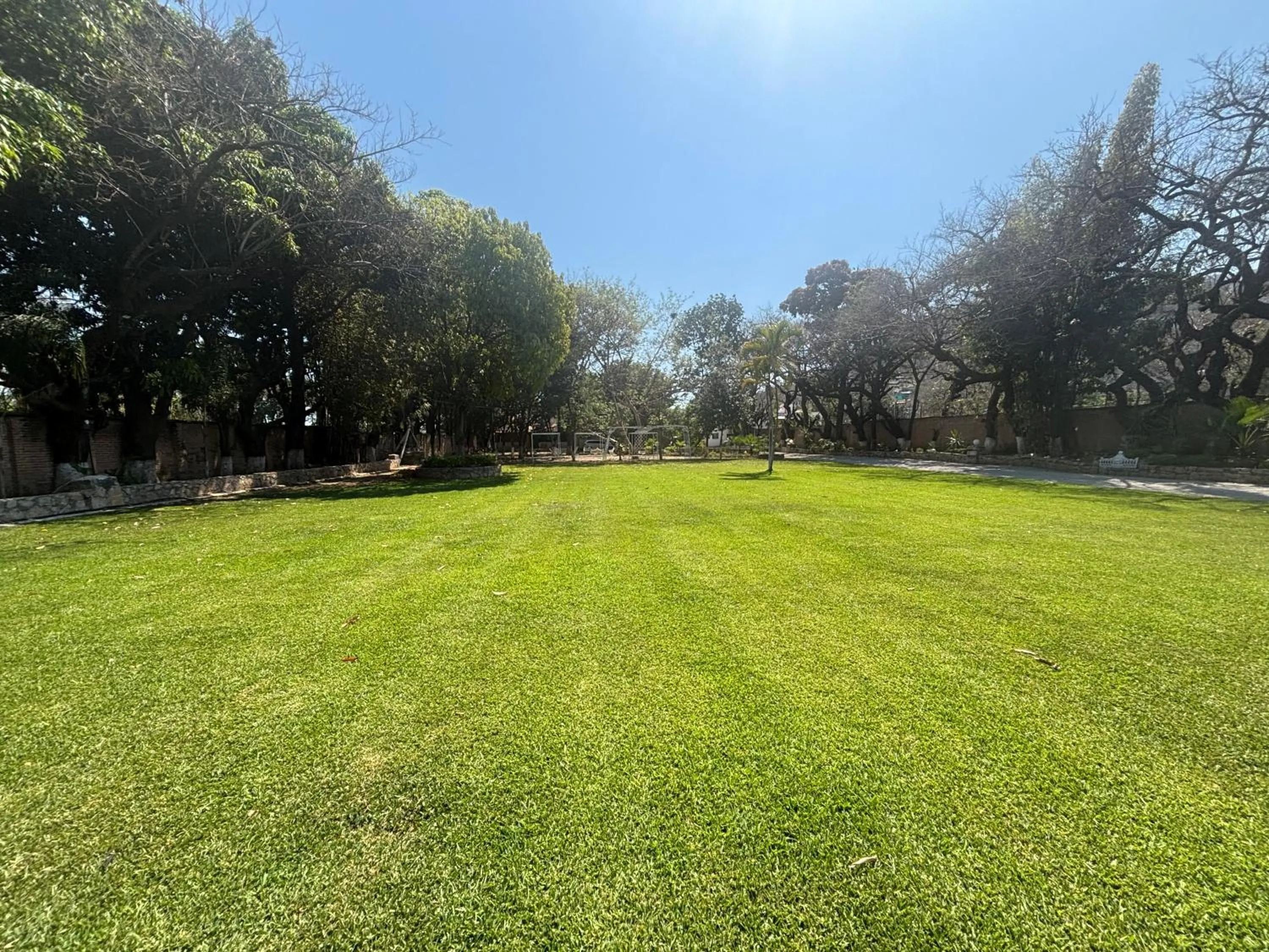 Garden in Casa De La O Yautepec