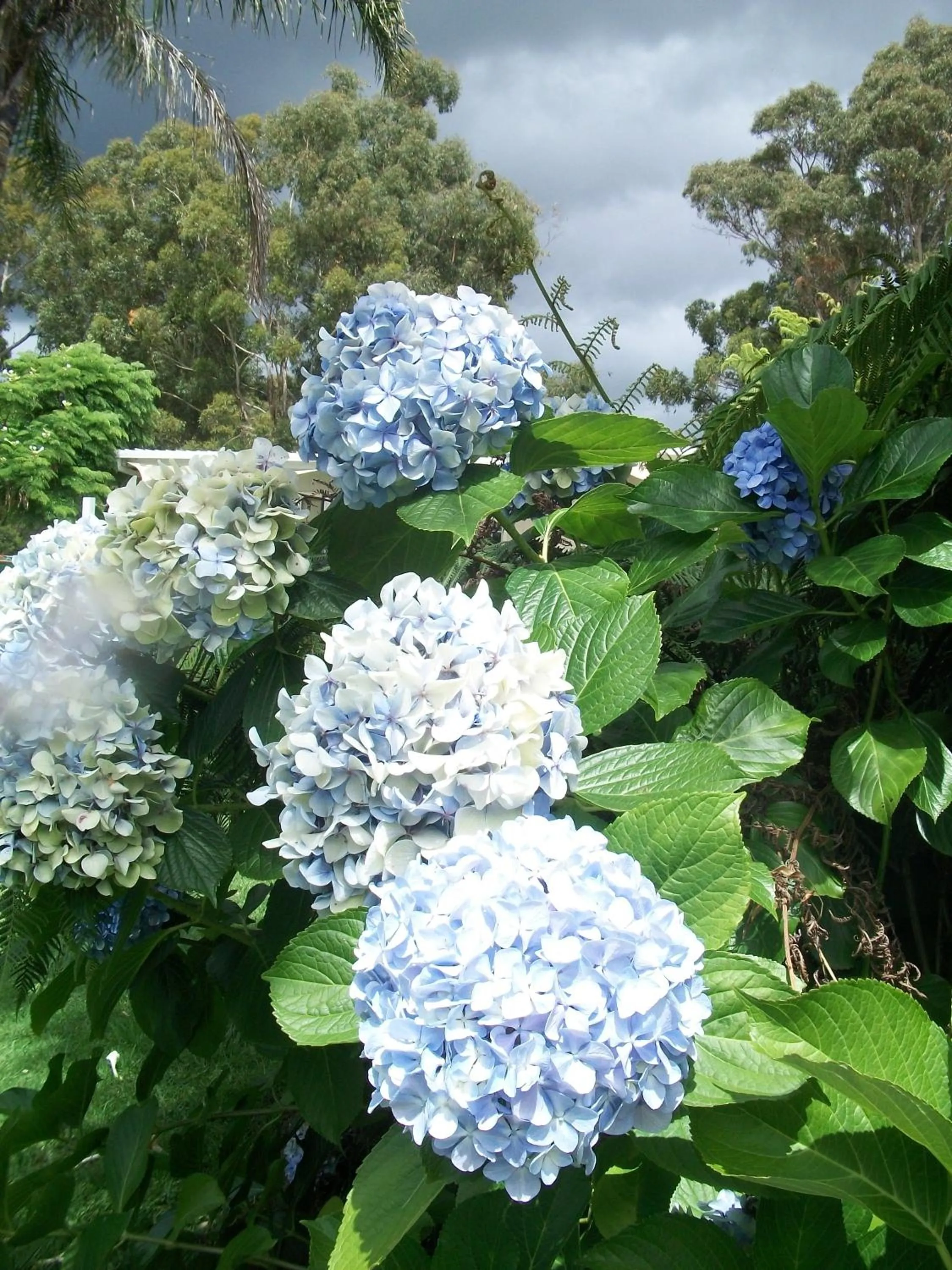 Bird's eye view in Top of the Lake Holiday Units