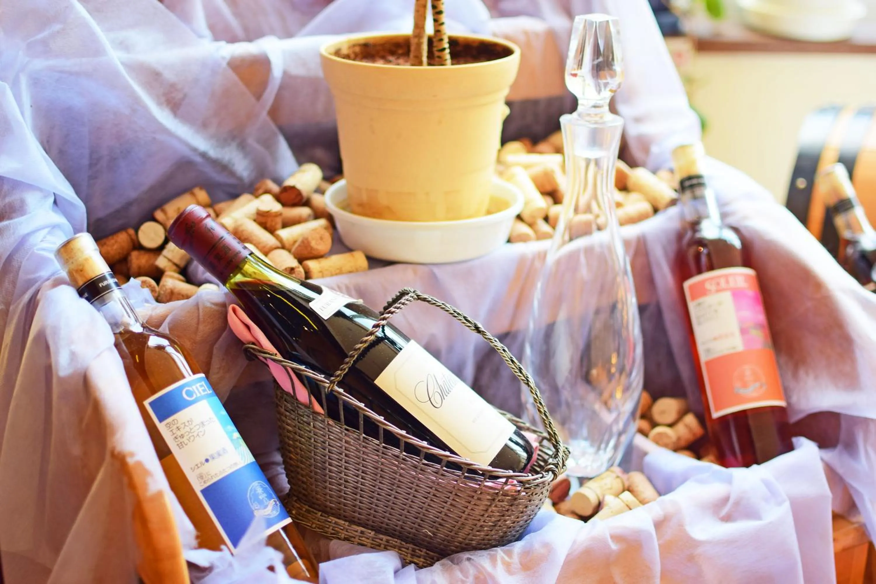 Lobby or reception in Highland Furano