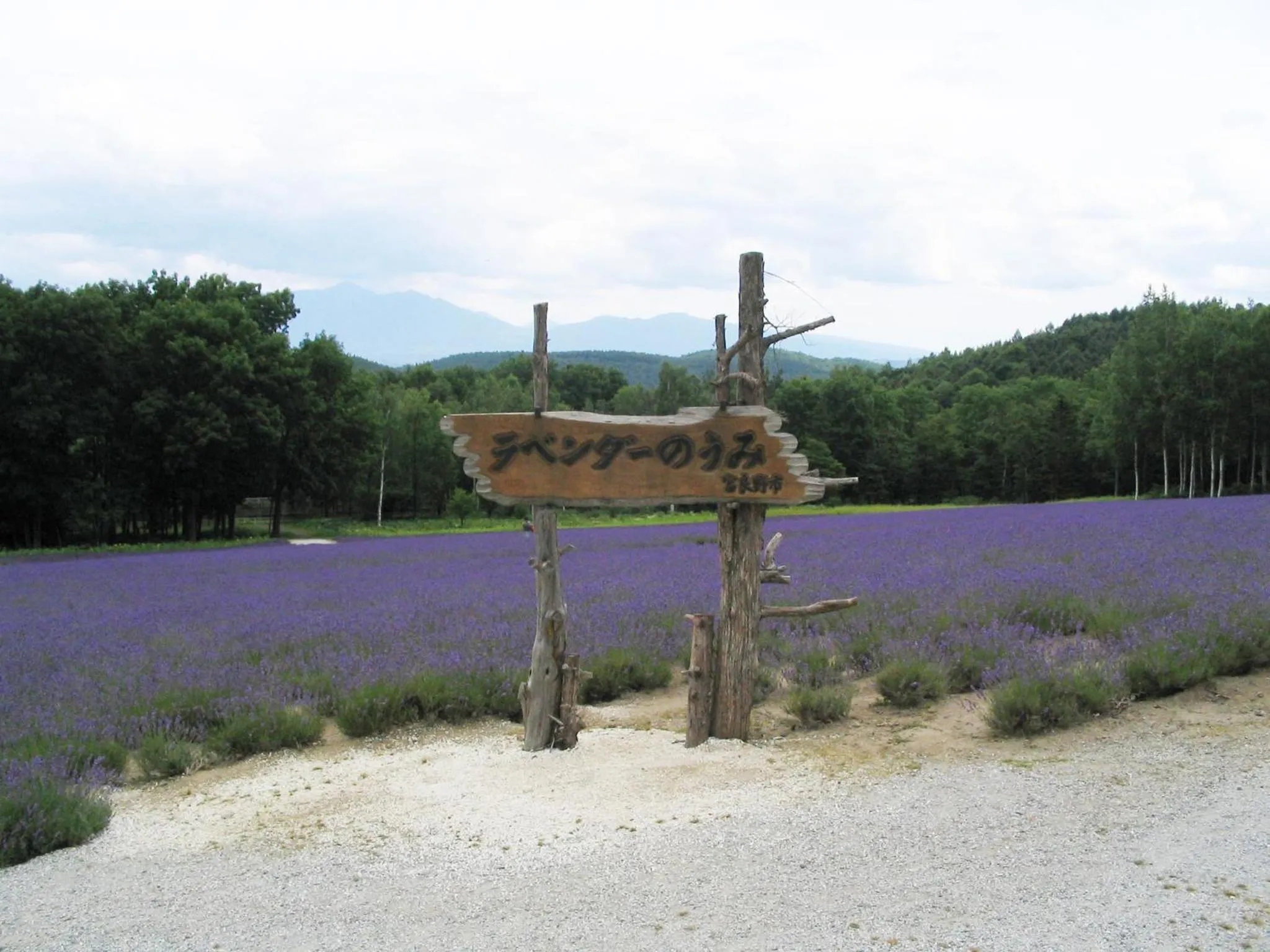 Property logo or sign in Highland Furano