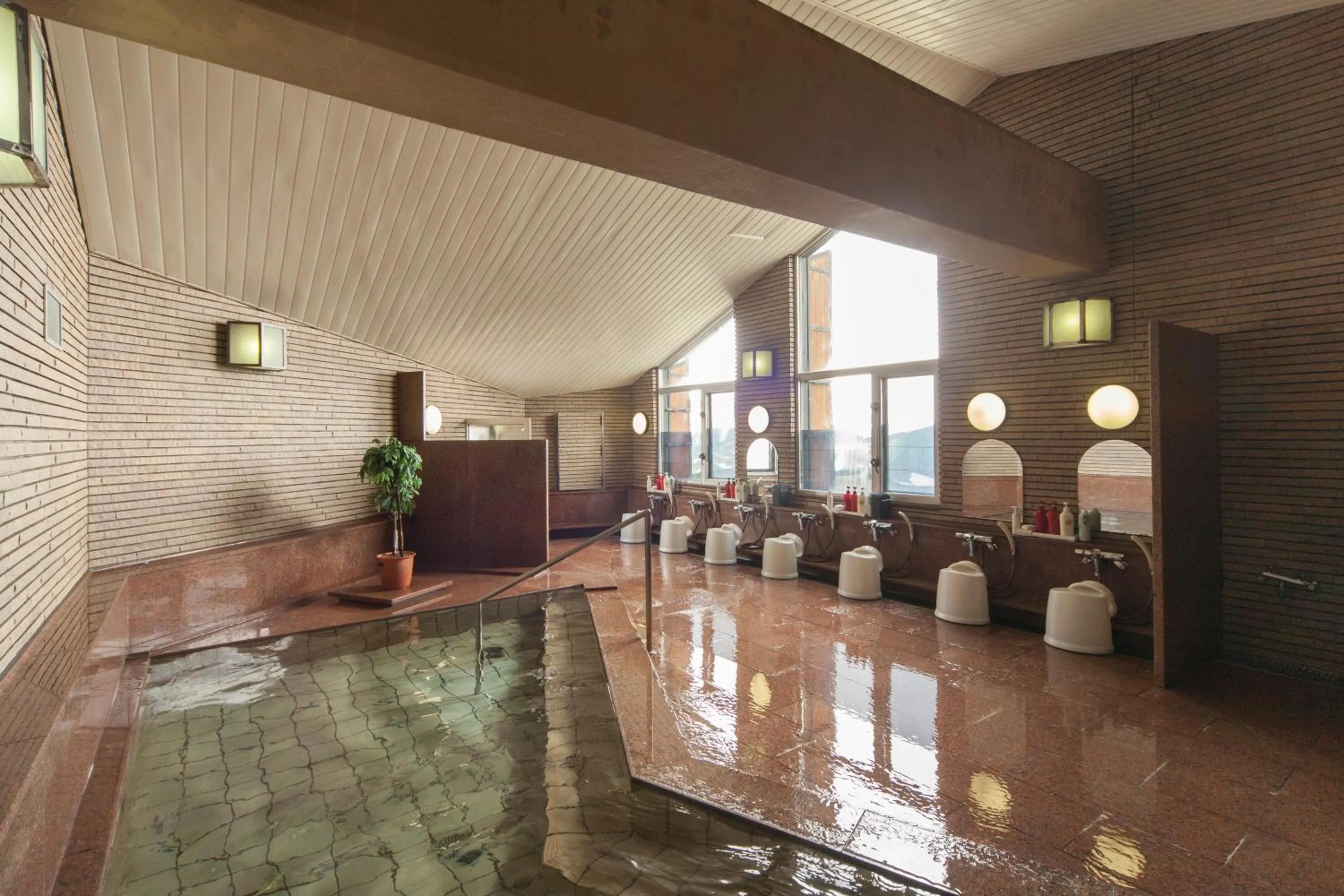 Public Bath in Hotel Tateyama