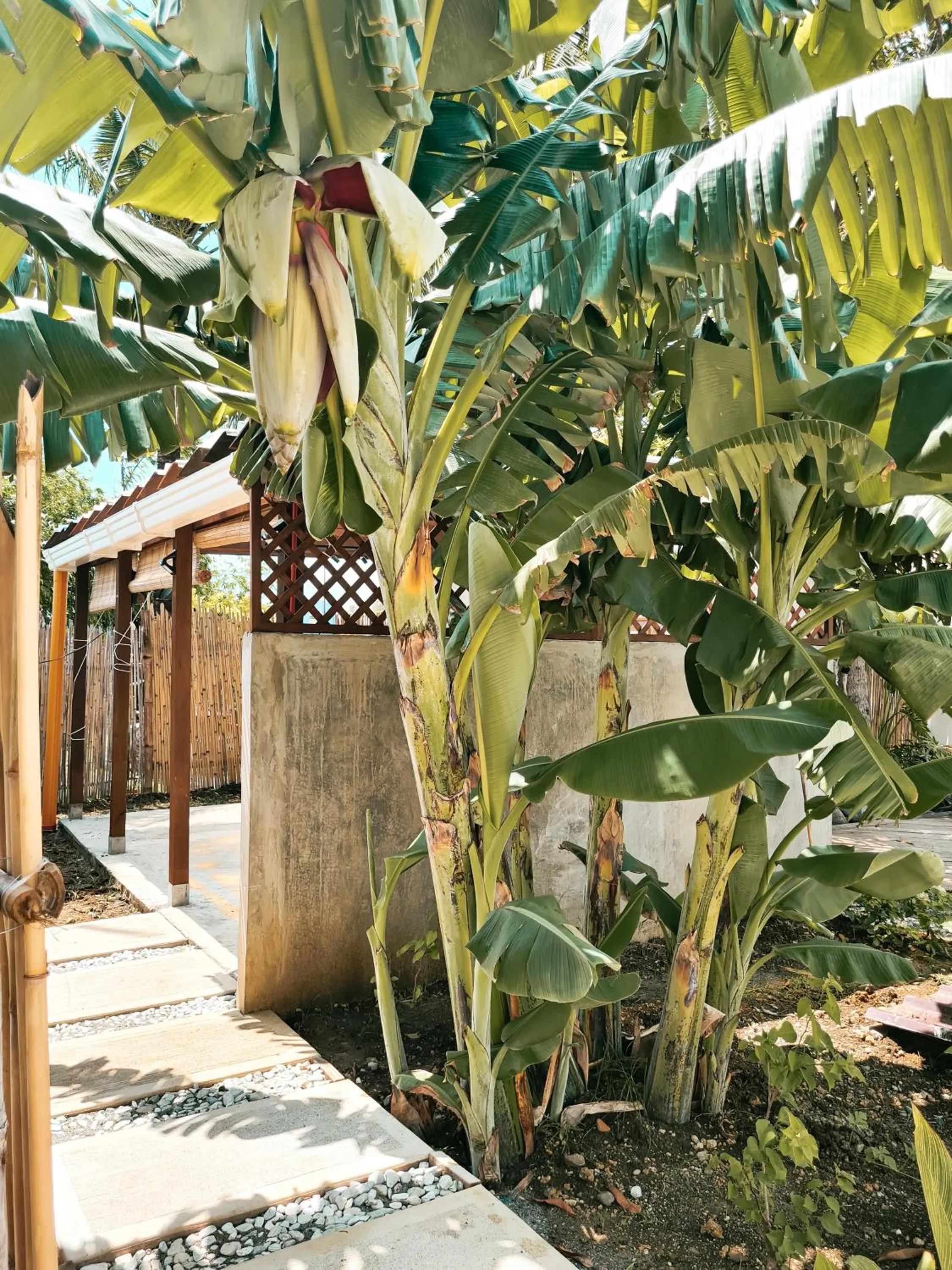 Kitchen or kitchenette in 148 Guesthouse and Resort