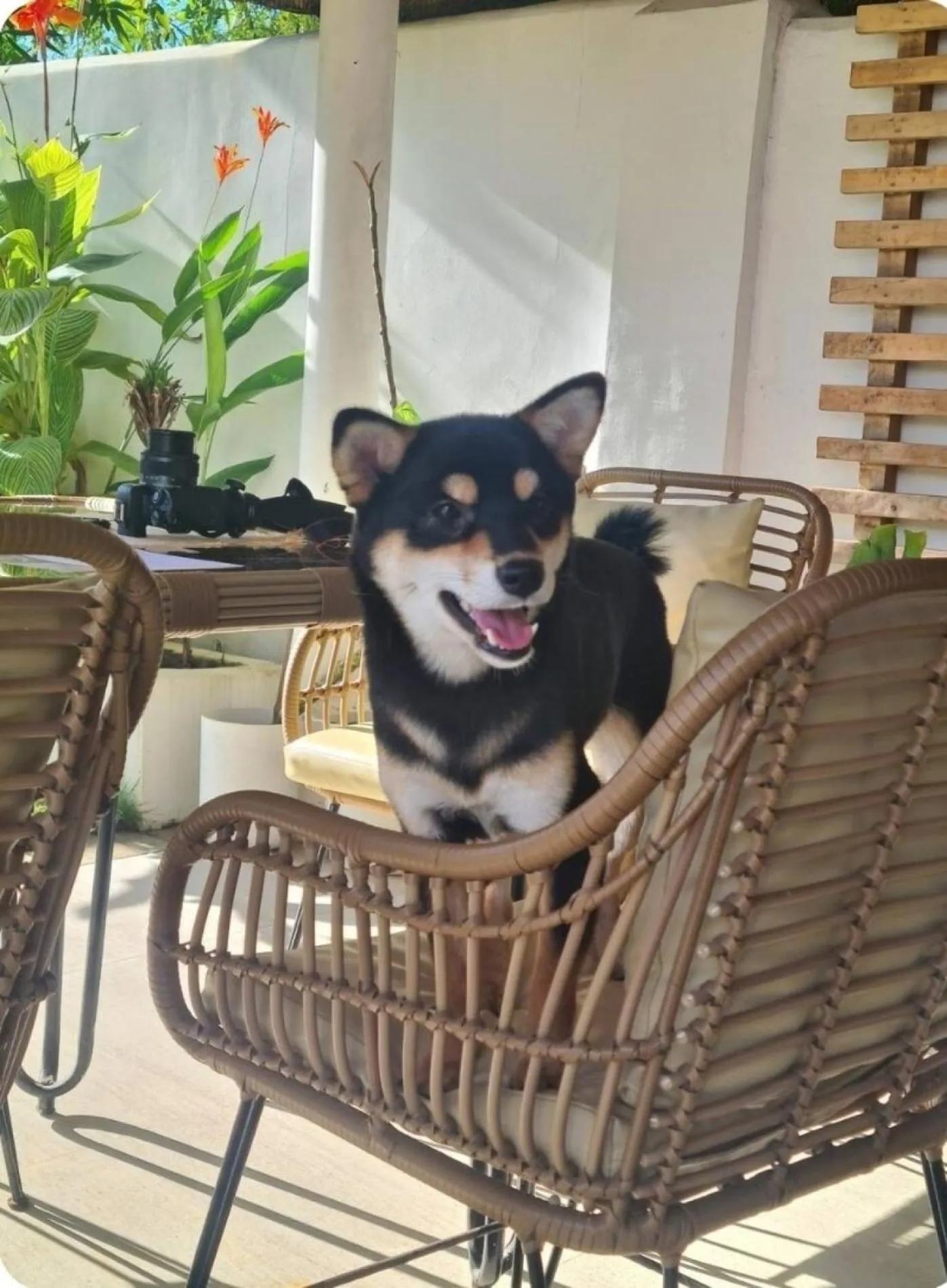 Seating area in 148 Guesthouse and Resort