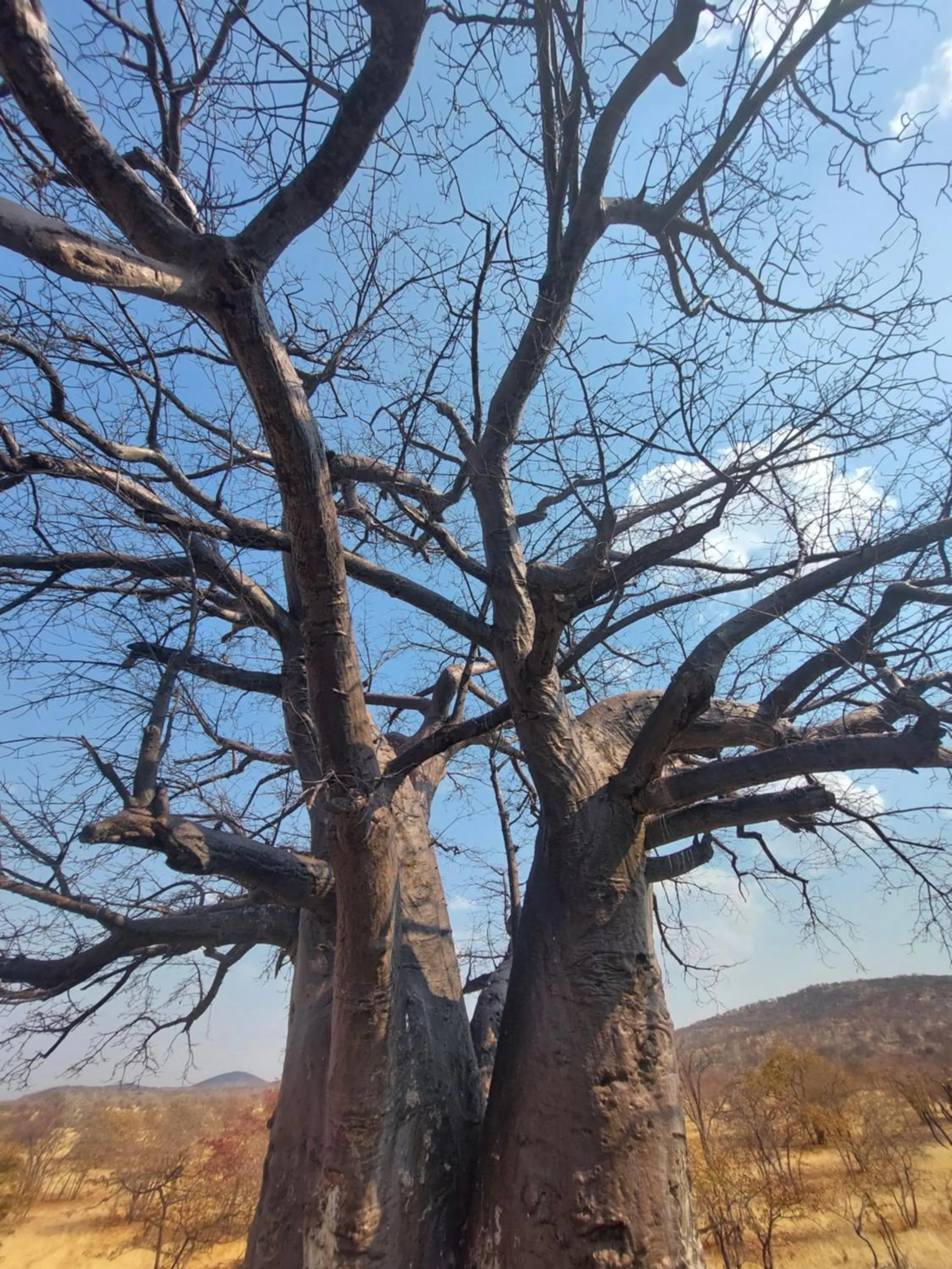 Natural landscape in Opuwo Country Lodge