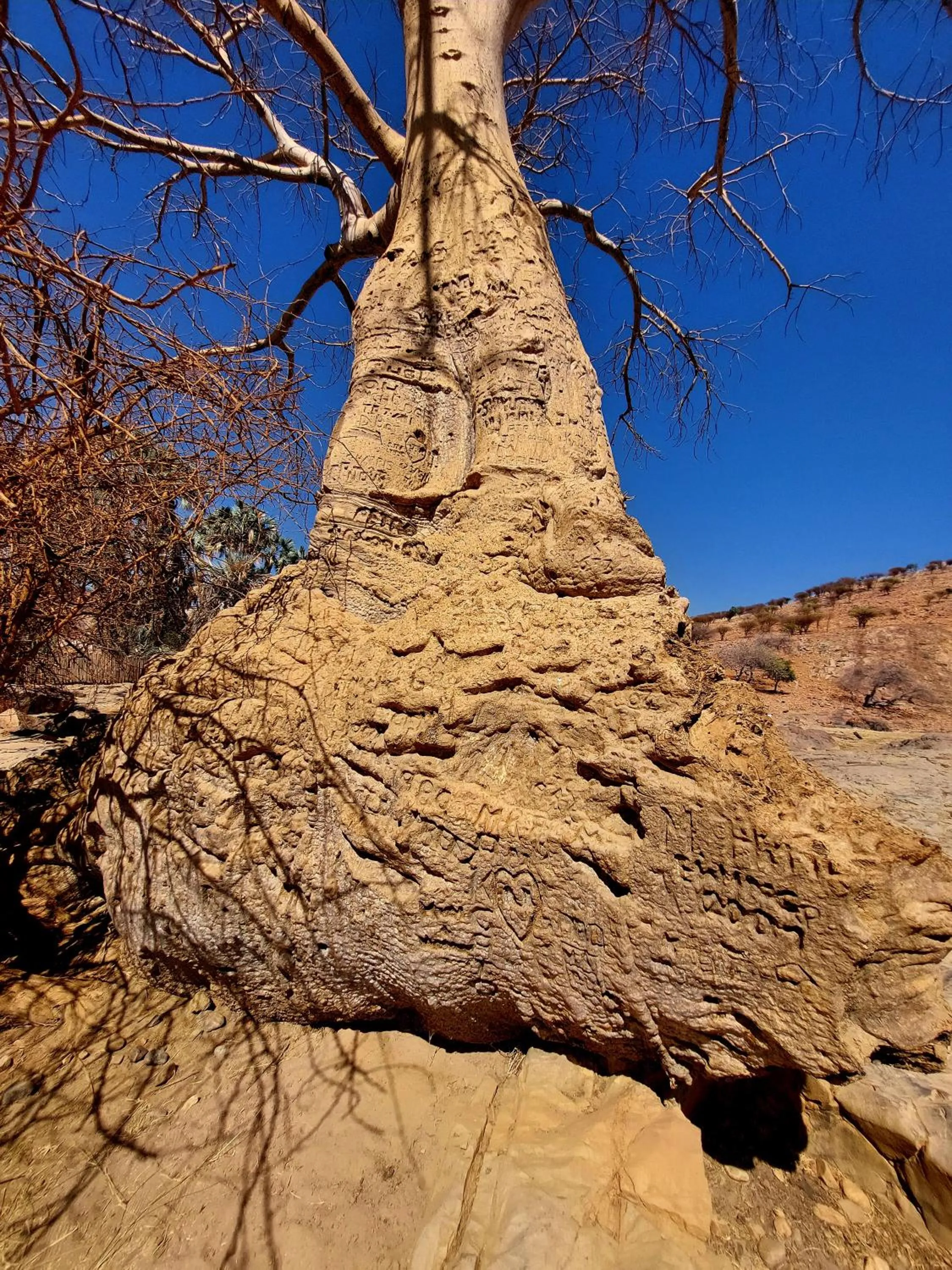 Natural landscape in Opuwo Country Lodge