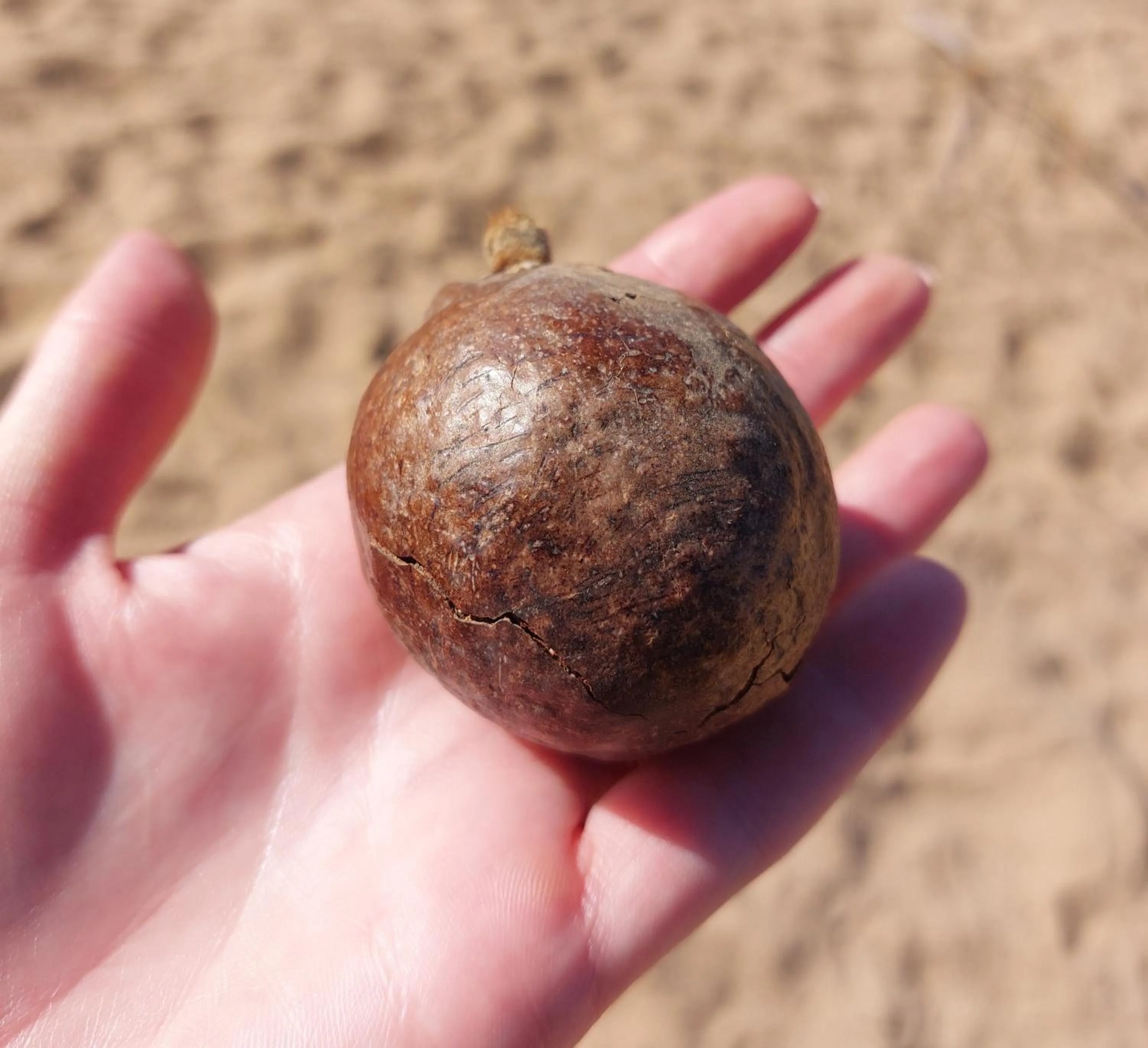 Activities in Opuwo Country Lodge