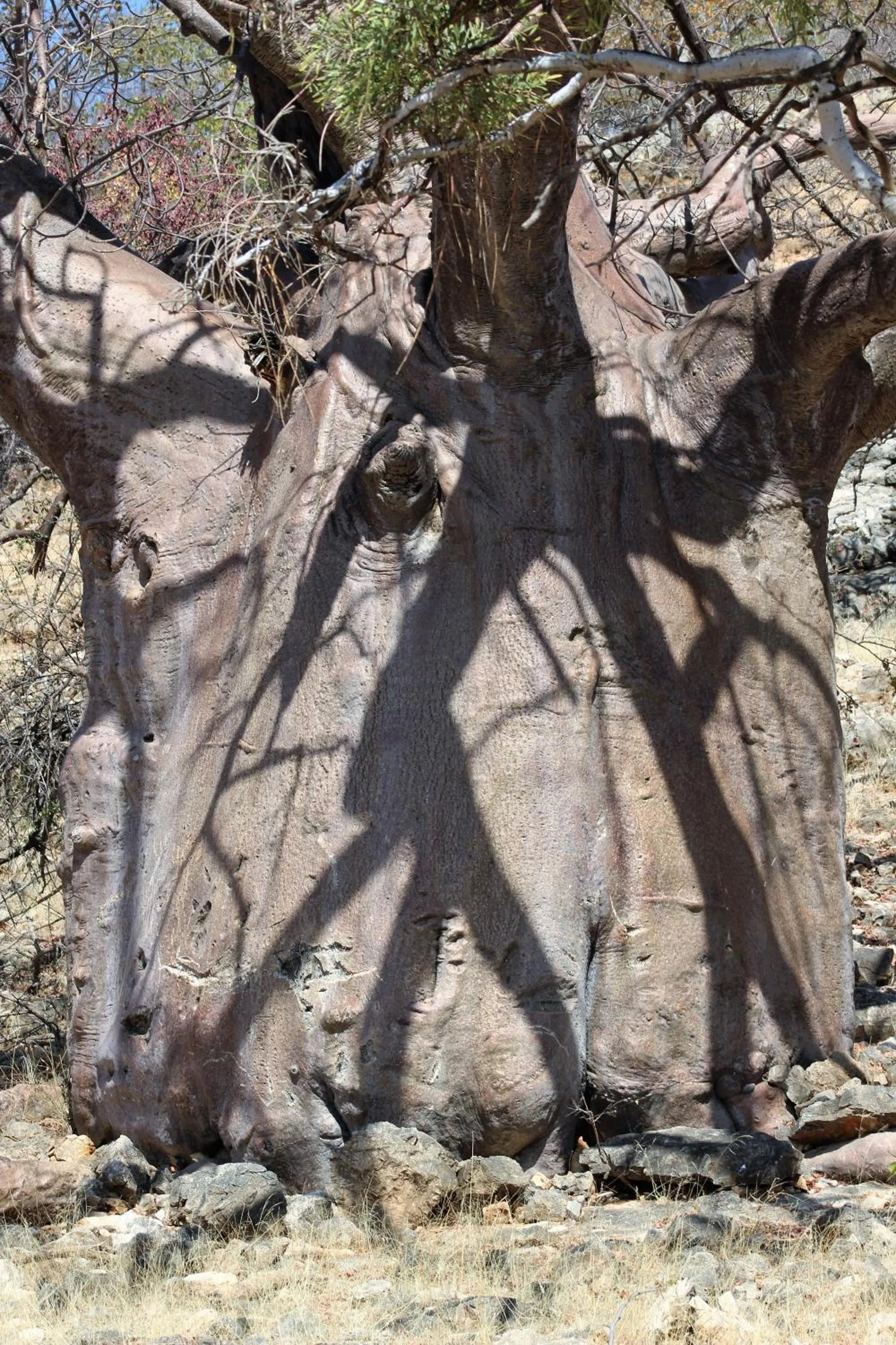 Activities in Opuwo Country Lodge