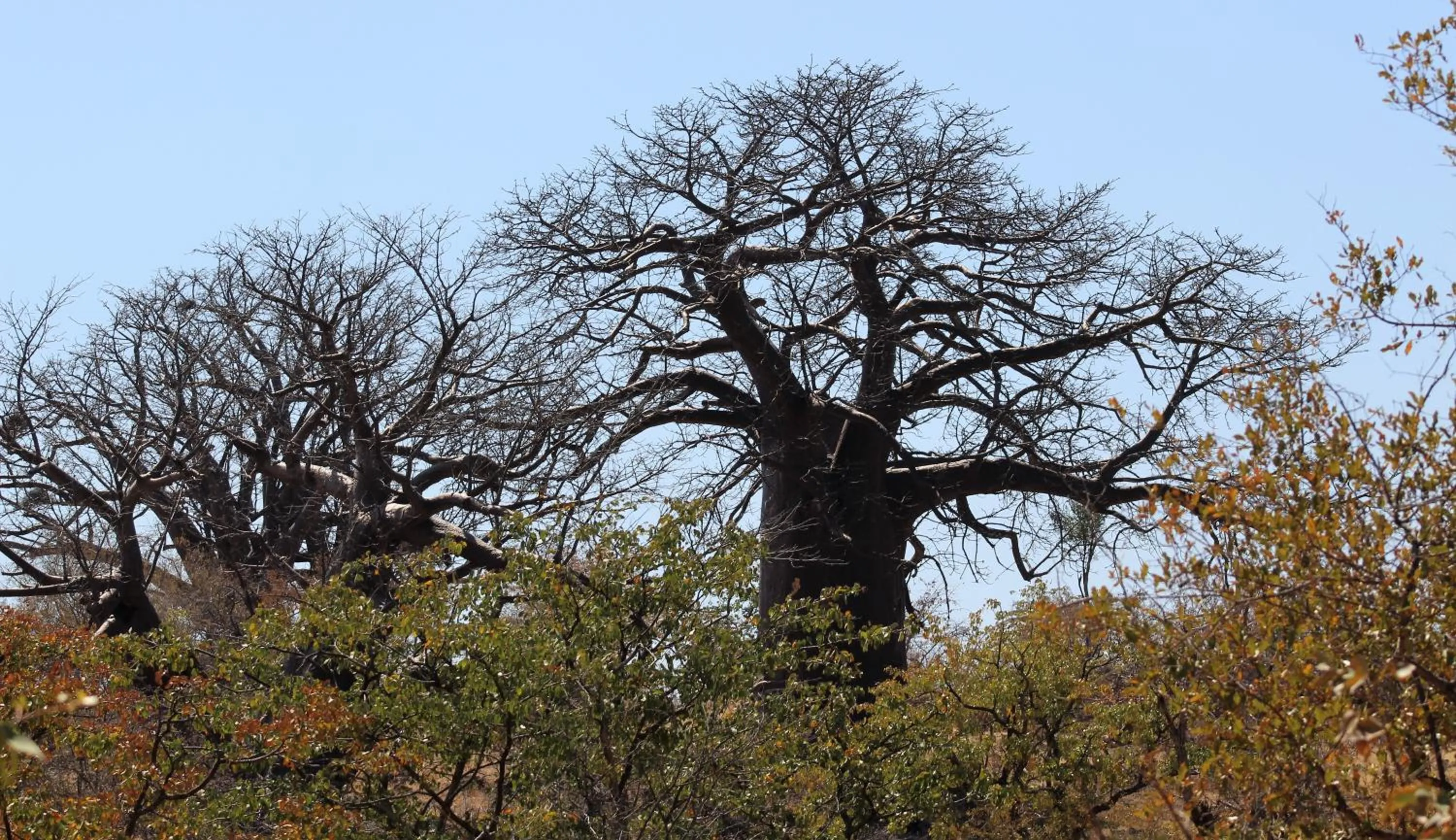 Natural landscape in Opuwo Country Lodge