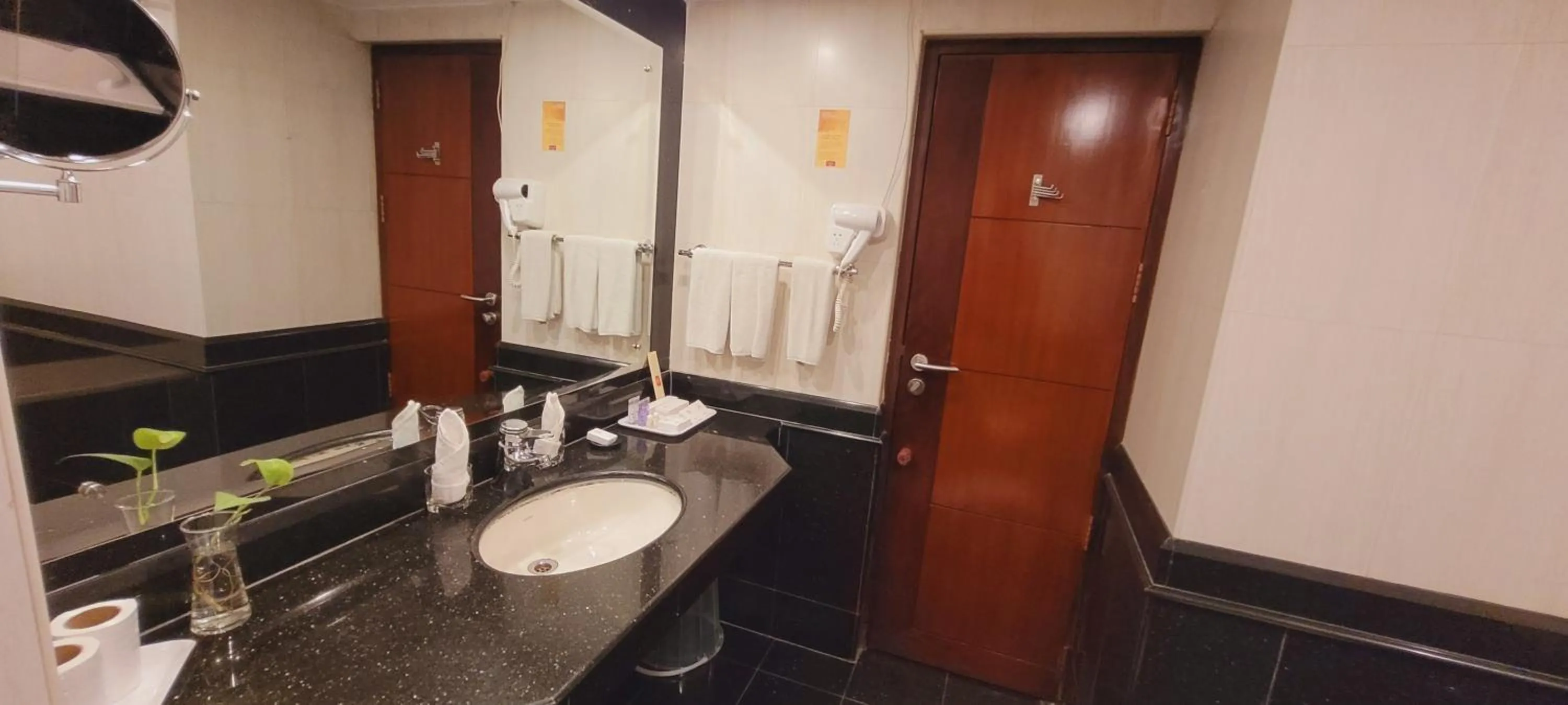 Bathroom in ASHOKA INN