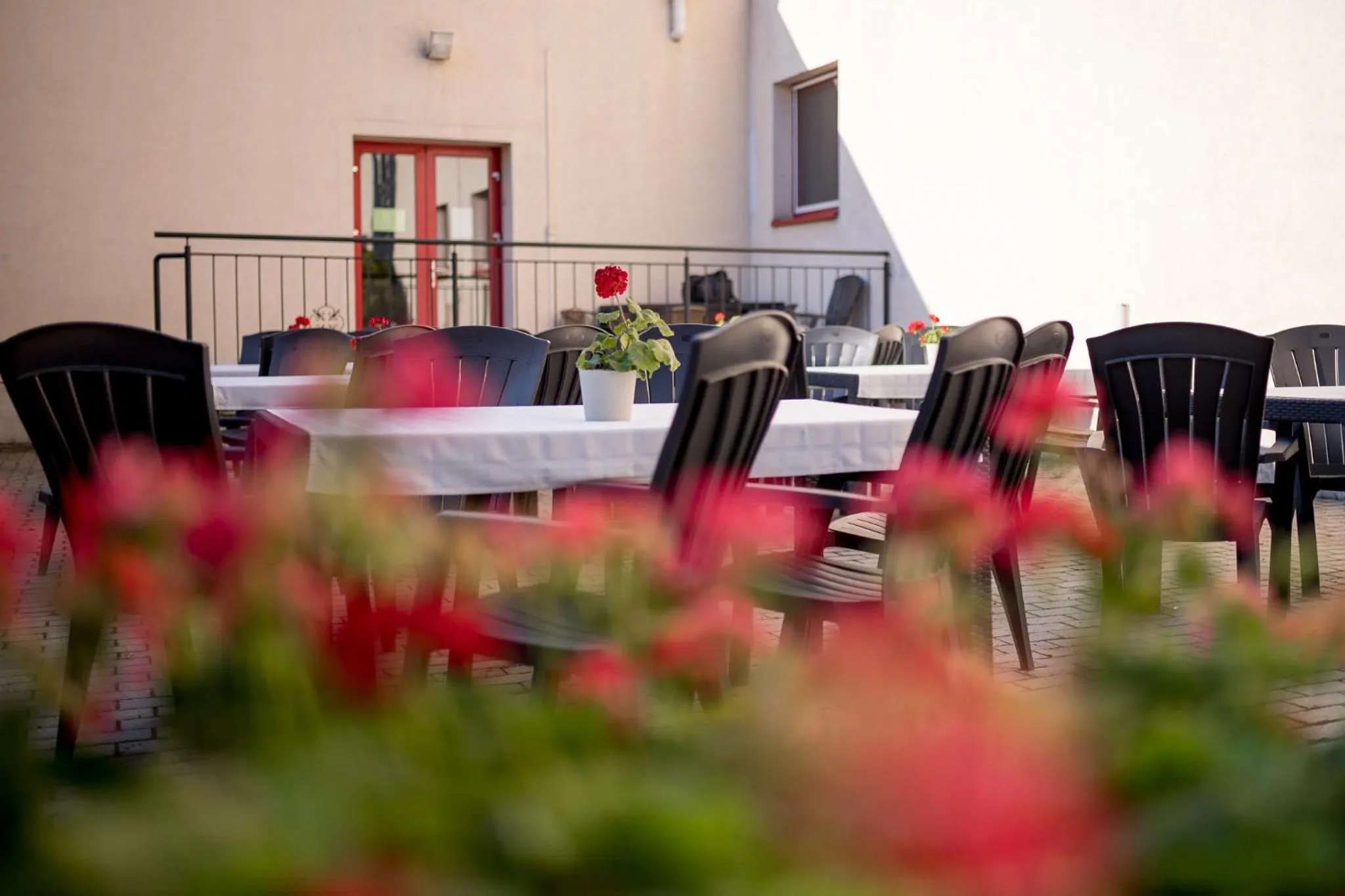 Garden in Homoky Hotels Bestline Hotel