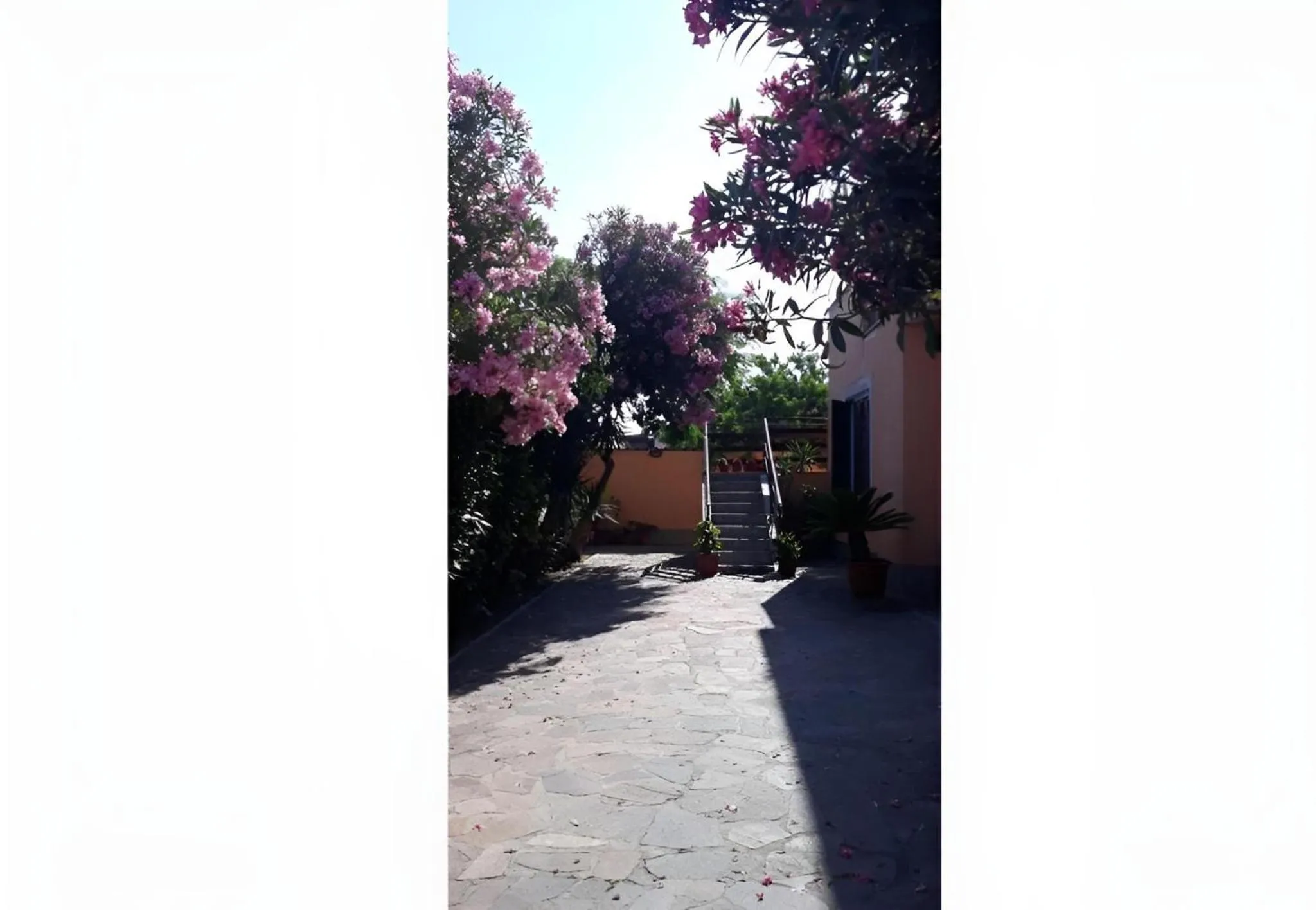 Spring in Sabrina Airport