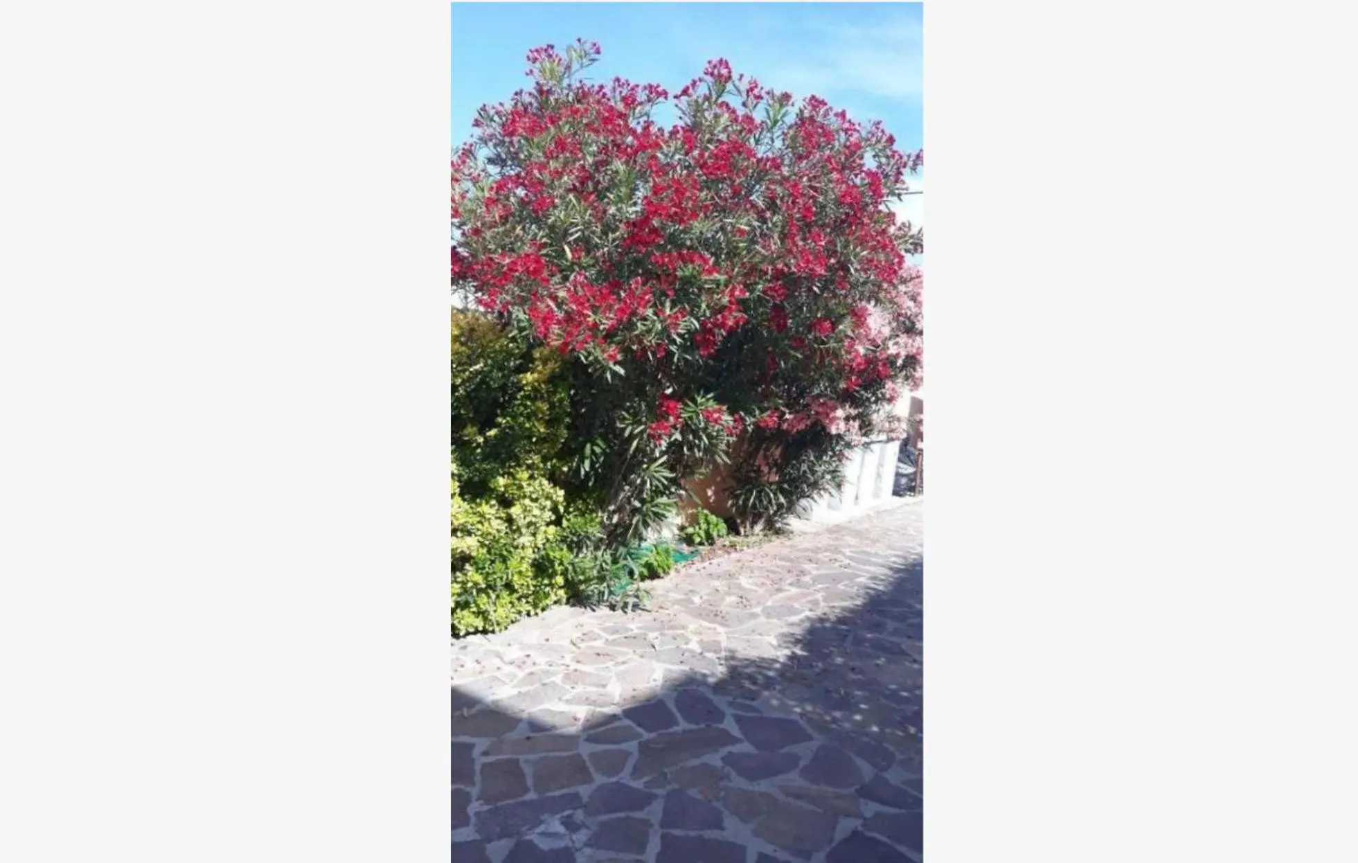 Spring in Sabrina Airport