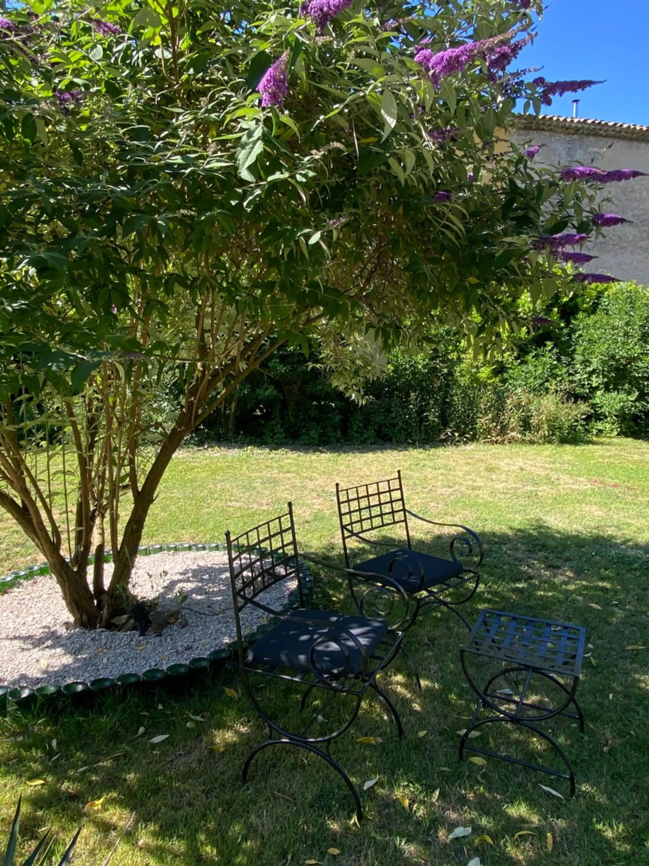 Garden in Appartement Les Cyprès de l’Île