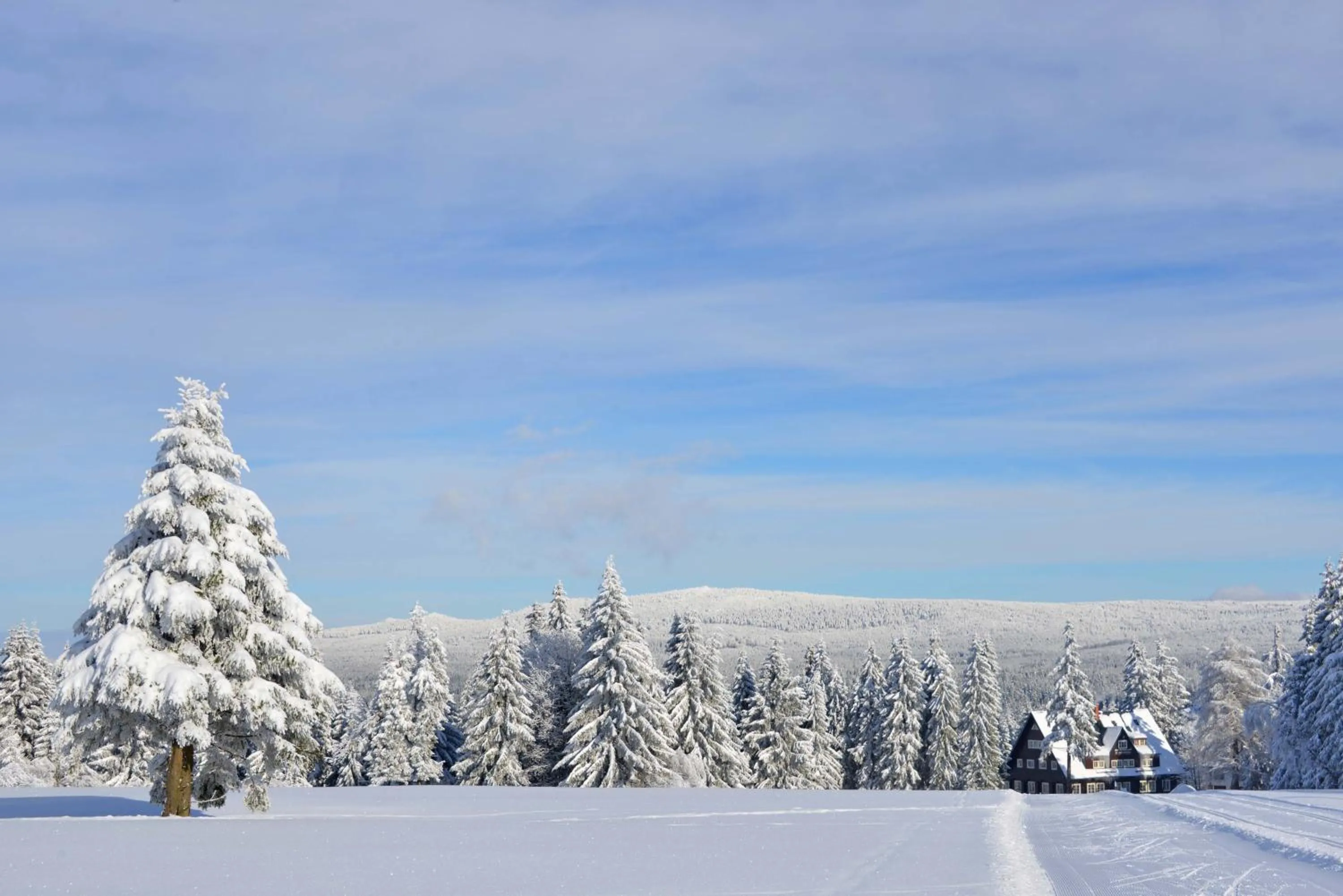 Neighbourhood in Prezidentská
