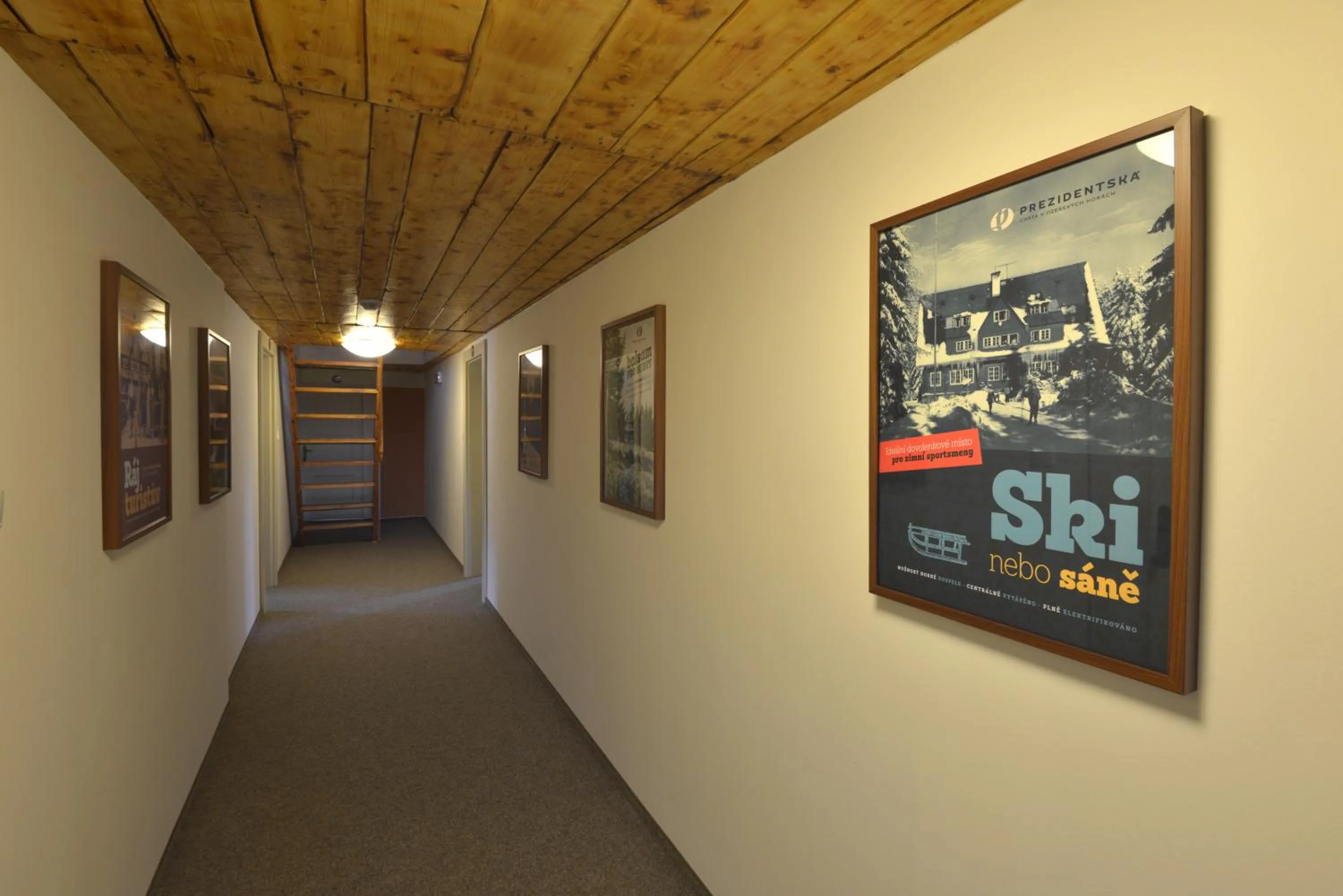 Patio in Prezidentská