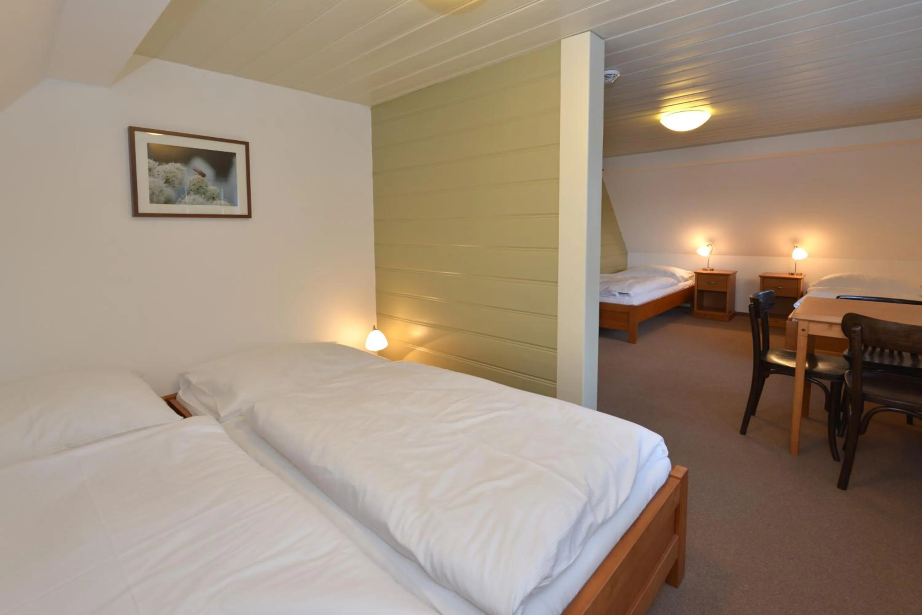 Quadruple Room with Shared Bathroom in Prezidentská