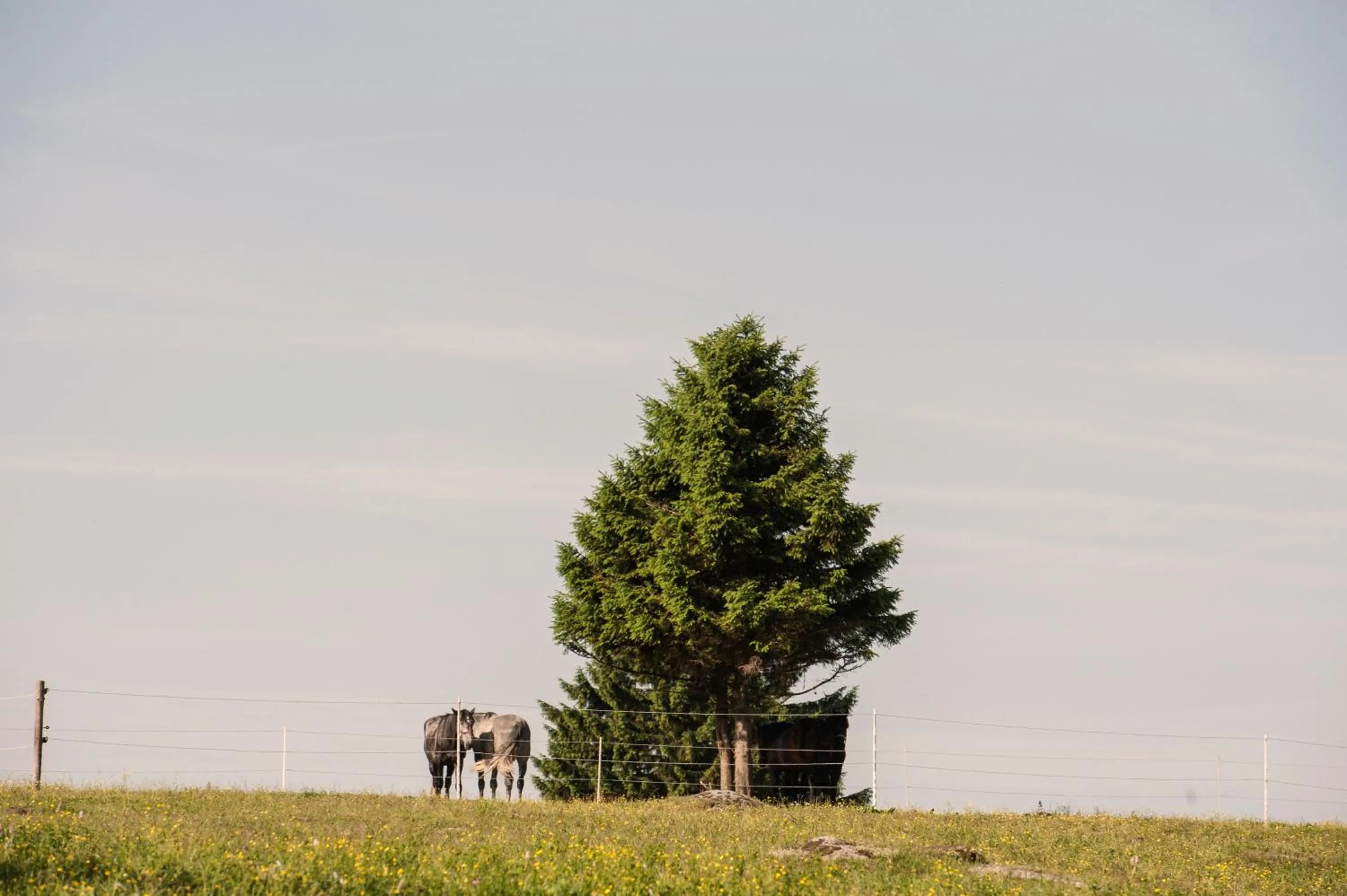 Neighbourhood in Prezidentská