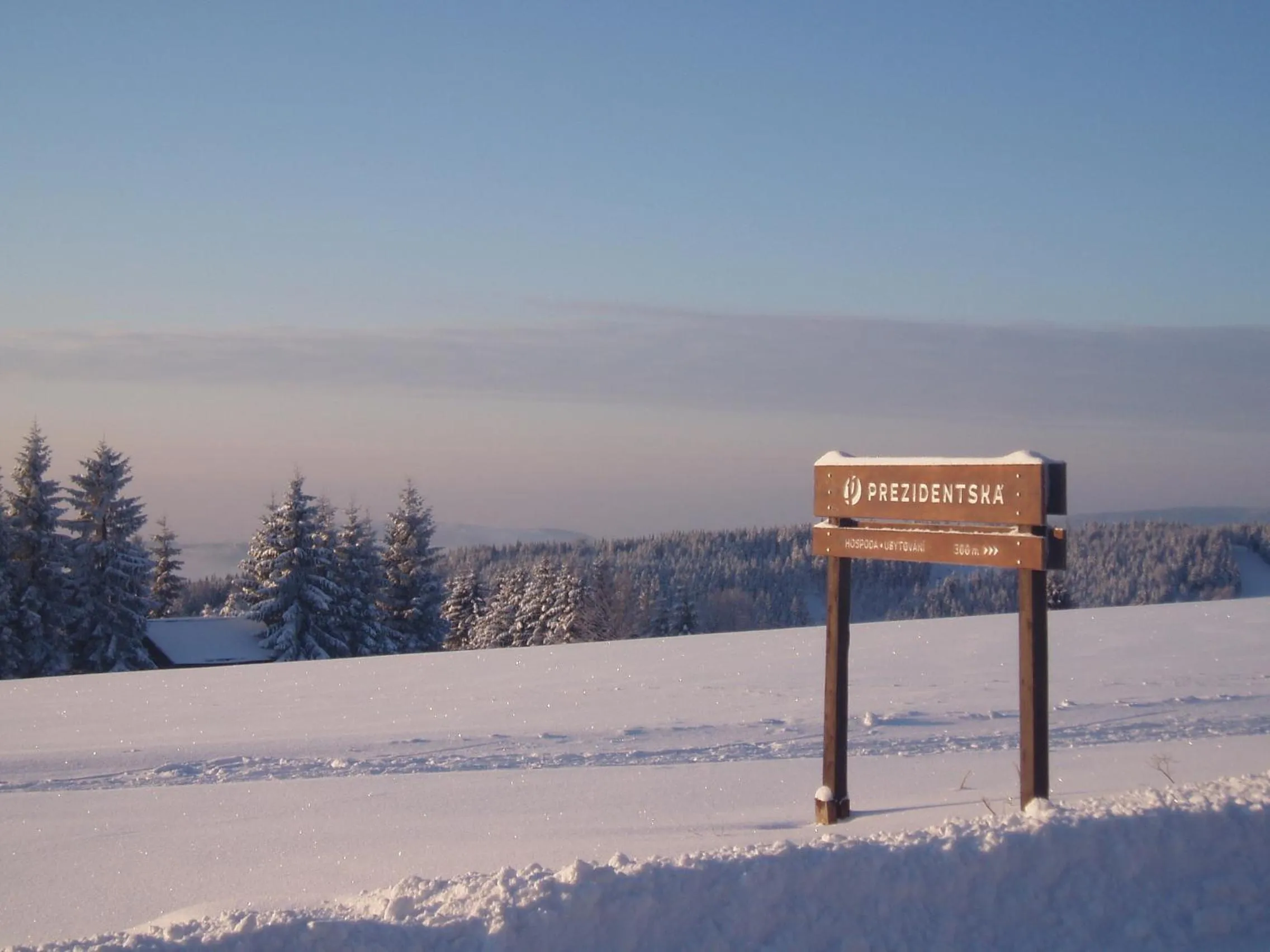 Property logo or sign in Prezidentská