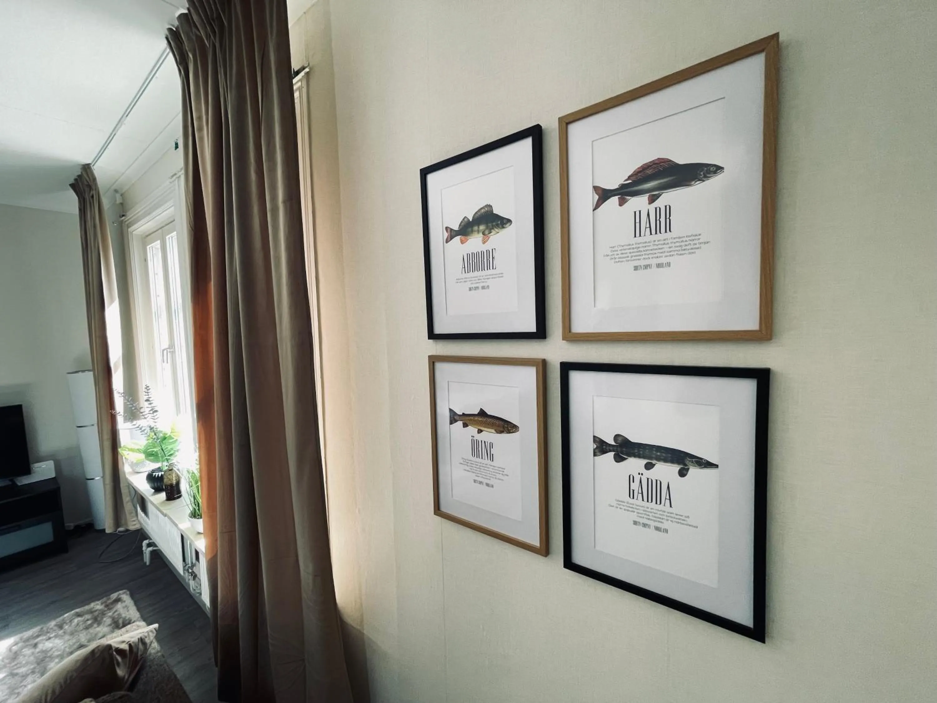 Property building in Telegrafen