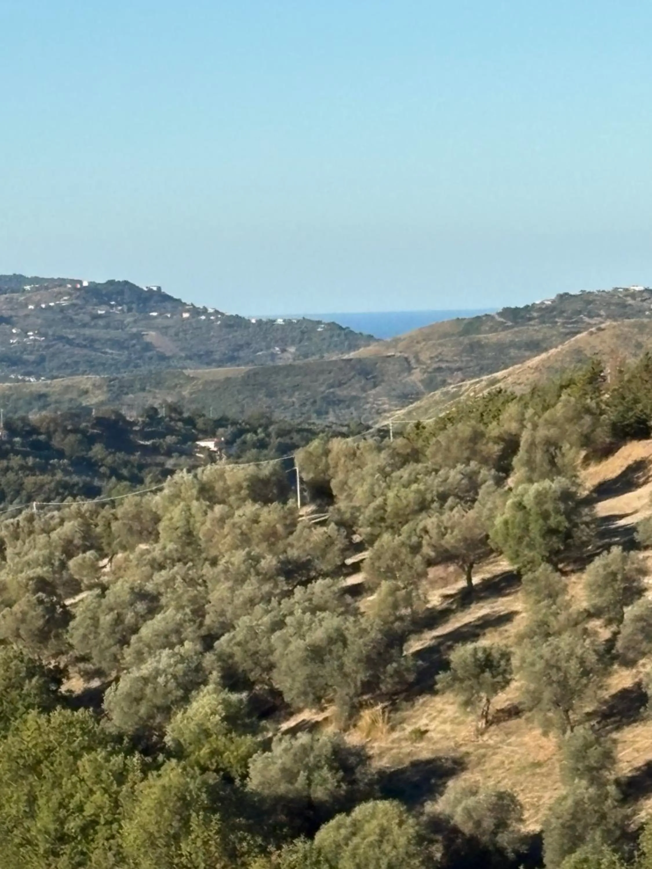 Natural landscape in Ca’del Borgo B&B Country House