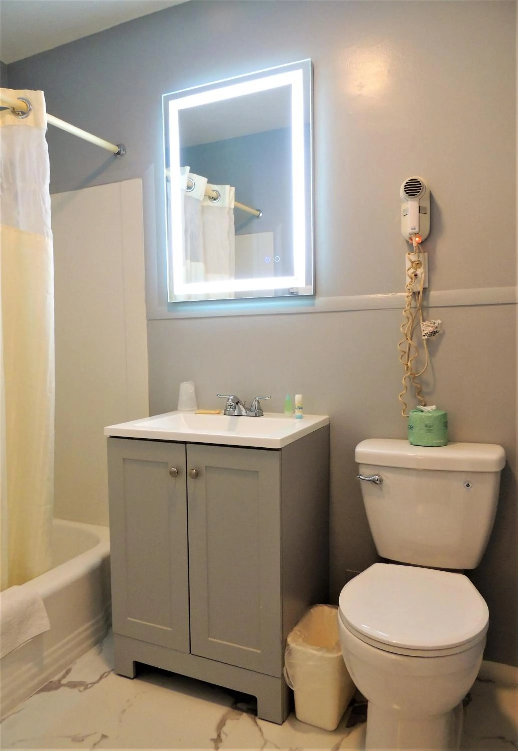 Toilet in Windsor Motel