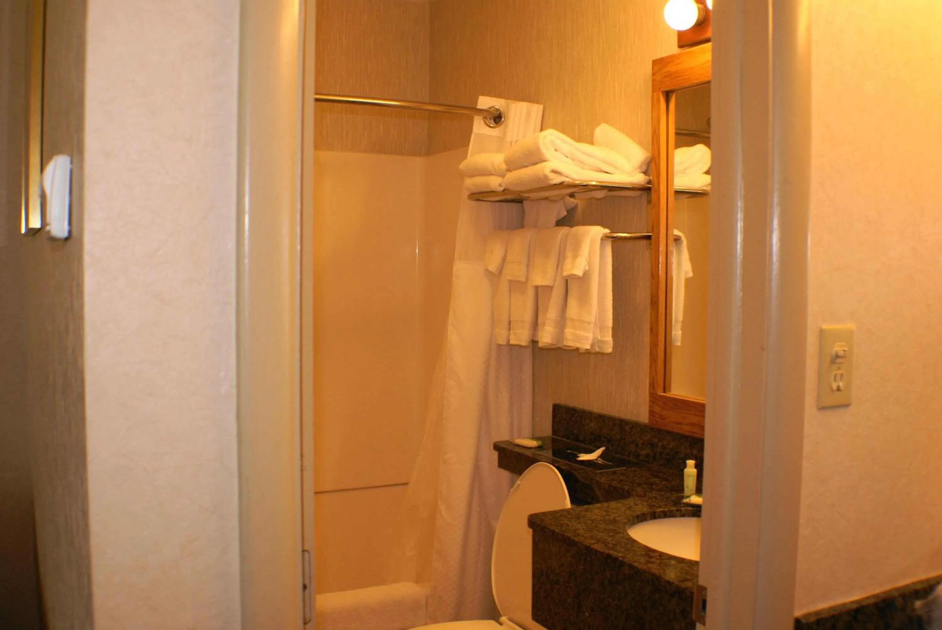 Bathroom in Landmark Motor Inn