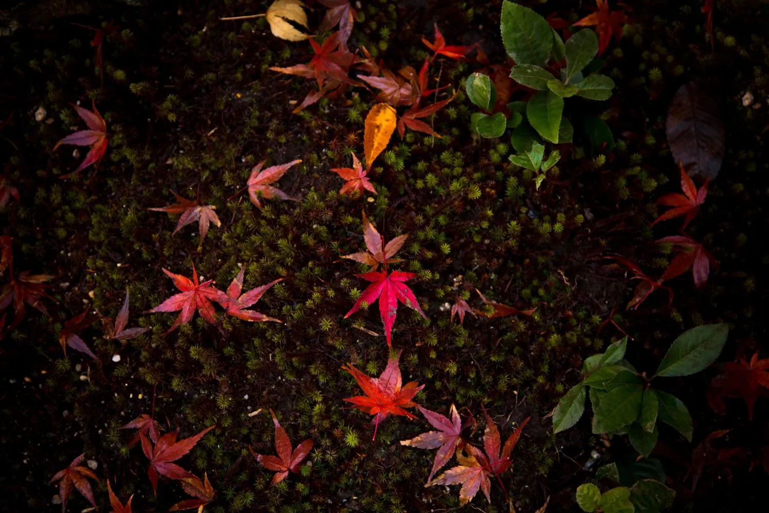 Property building in Hotel Yuraku Kyo-yasaka