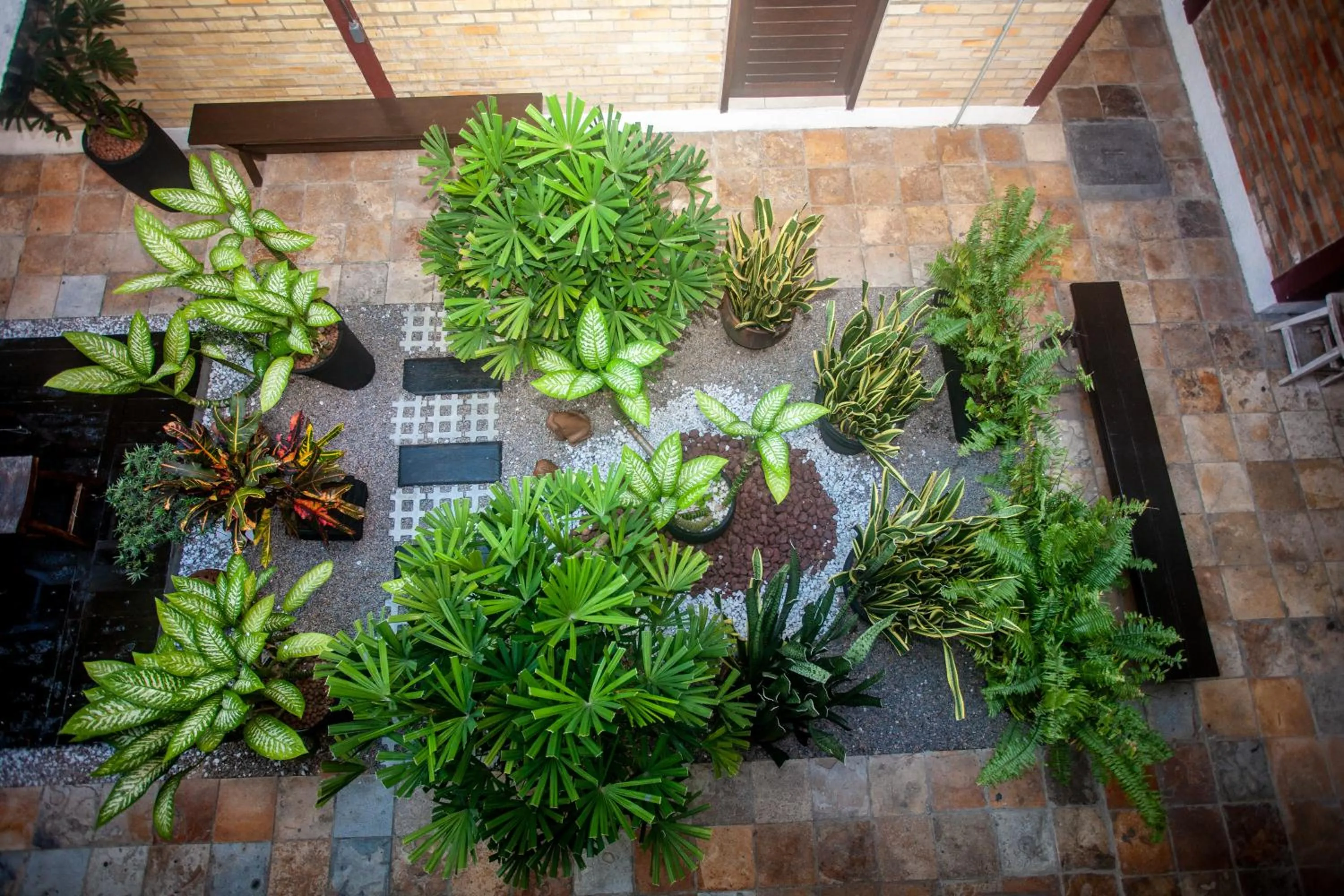 Garden in Economy Flat