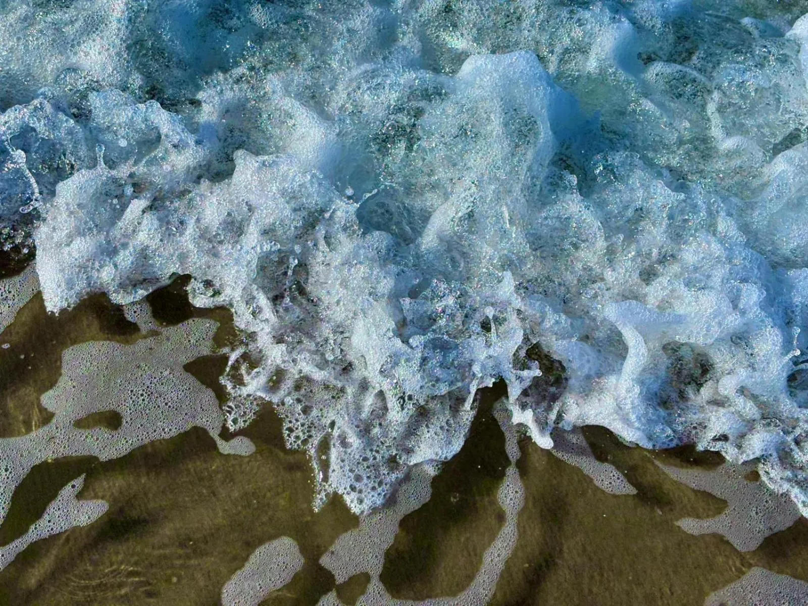 Beach in Tillicum Beach Motel - Formerly Deane's Oceanfront Lodge