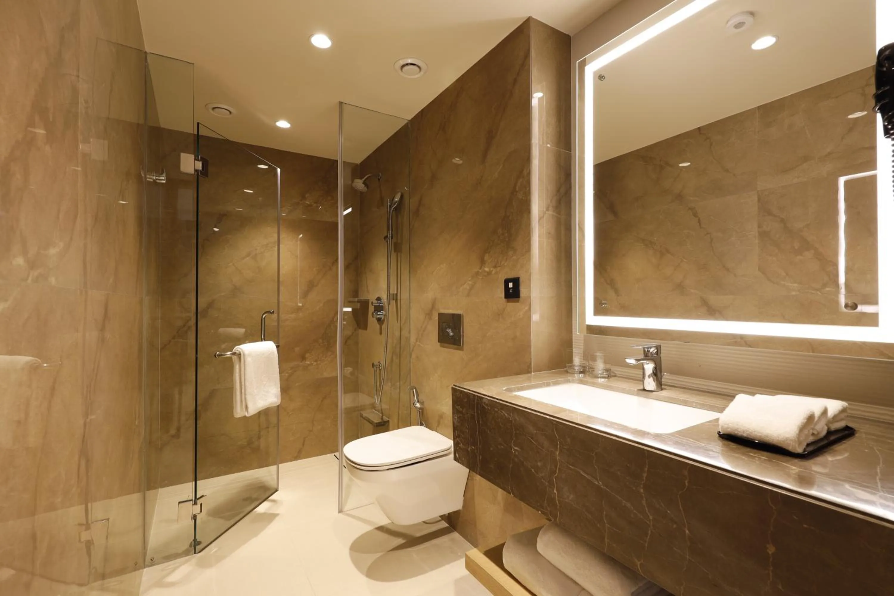 Bathroom in Hyatt Place Vijayawada