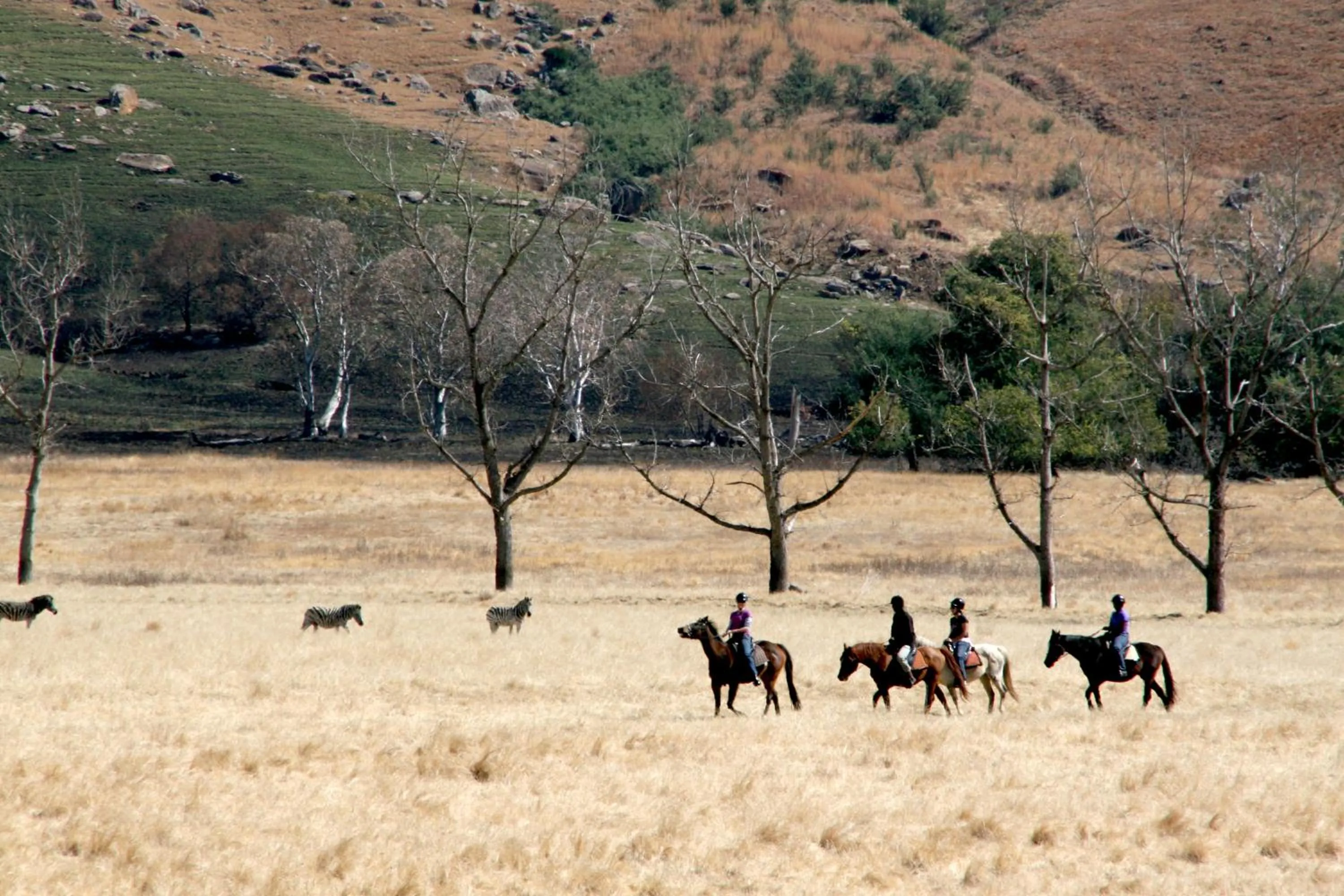 Day in Sani Valley Nature Lodges