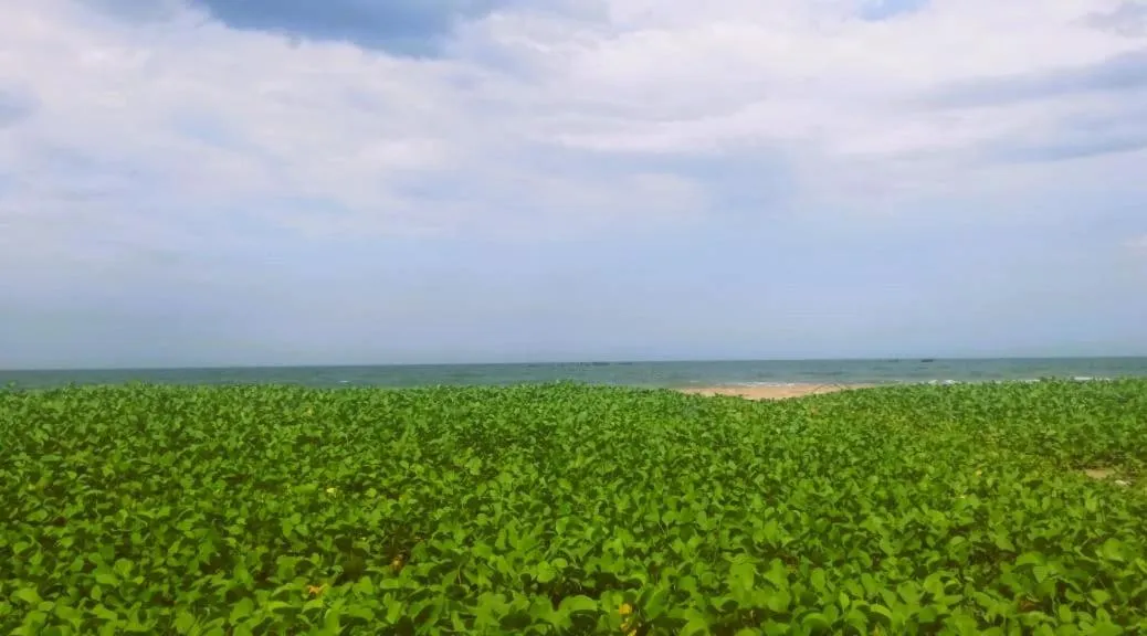 Sea view in Chan Beach Resort & Hotel